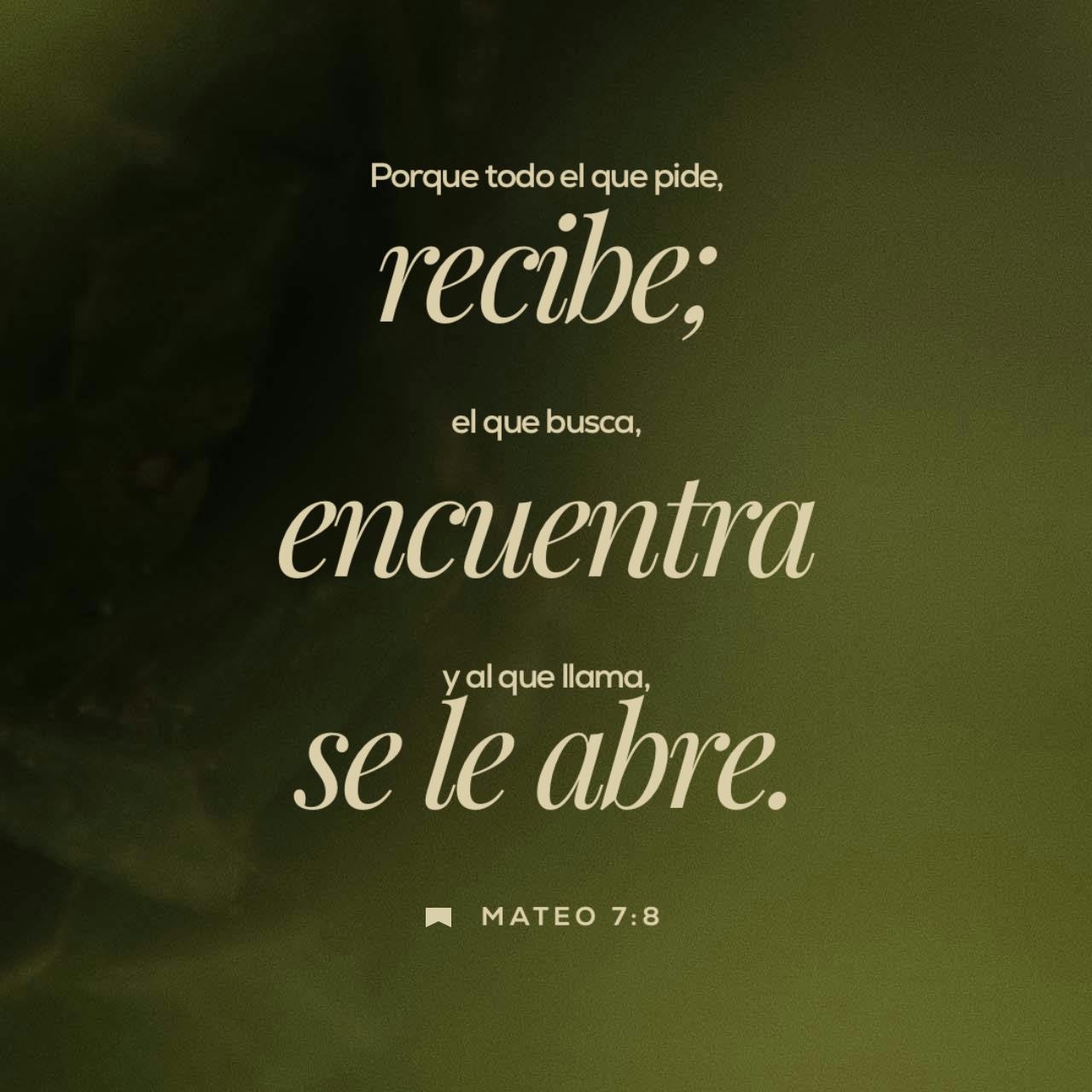 04 de octubre - Plaza