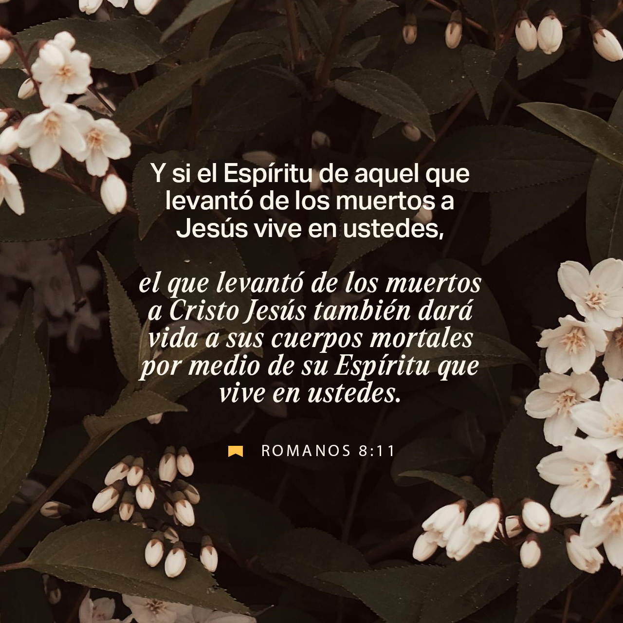 06 de octubre - Plaza