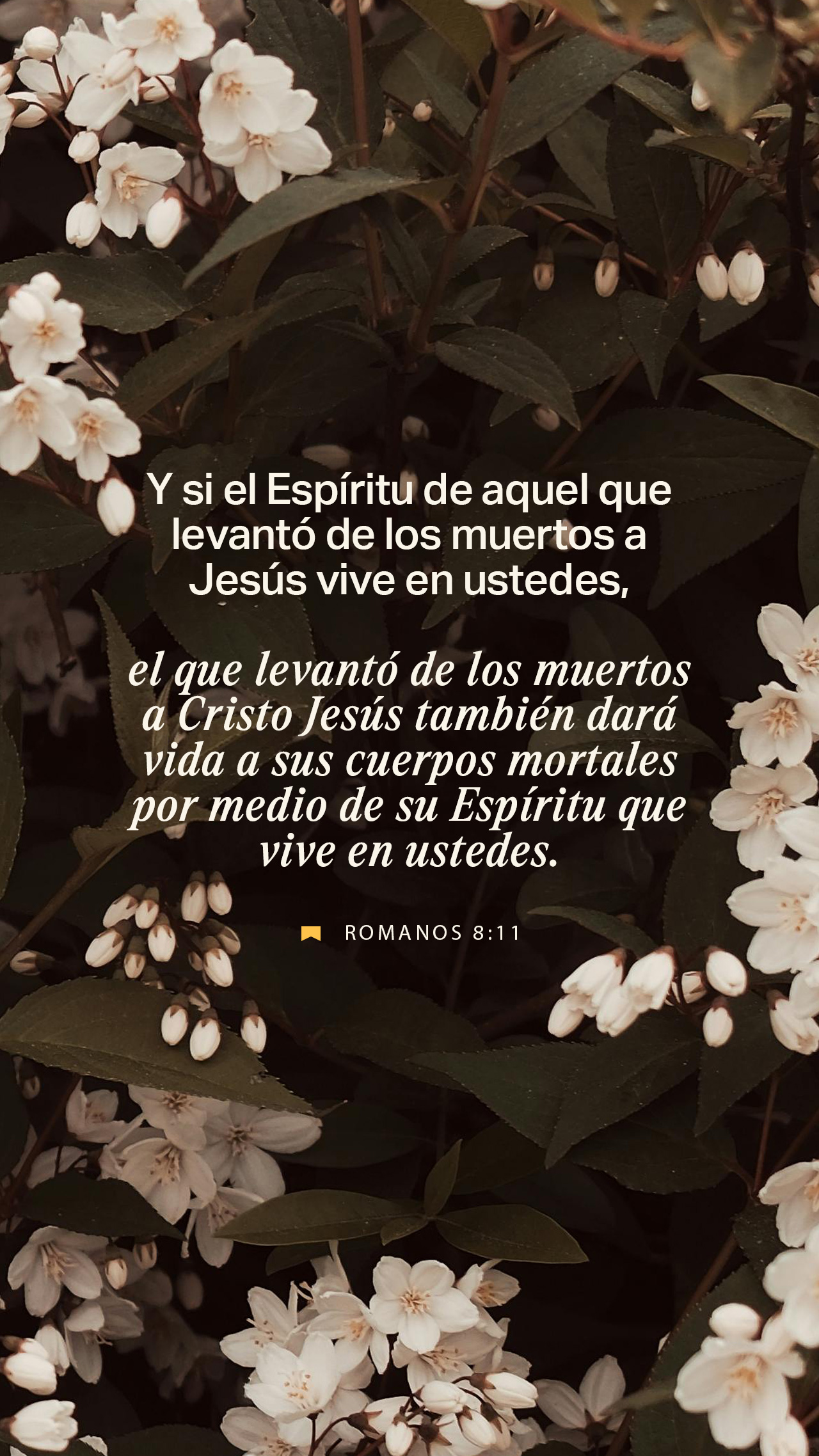 06 de octubre - Vertical