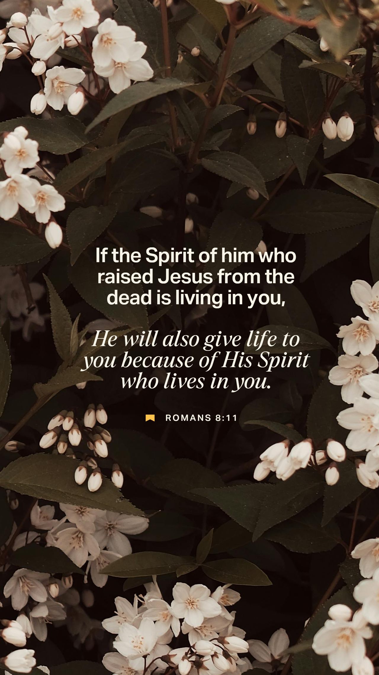 October 06 - Vertical