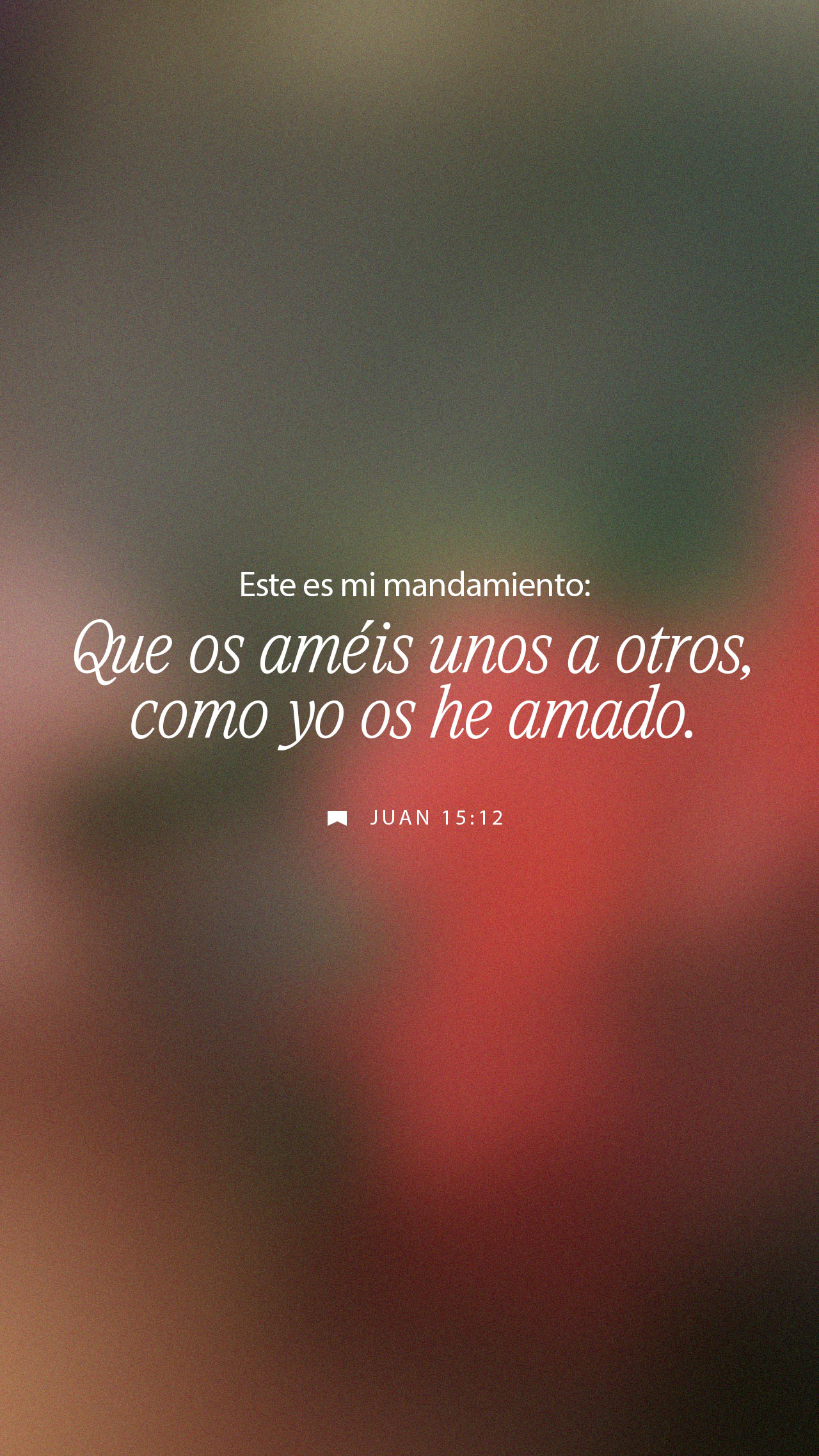 08 de octubre - Vertical