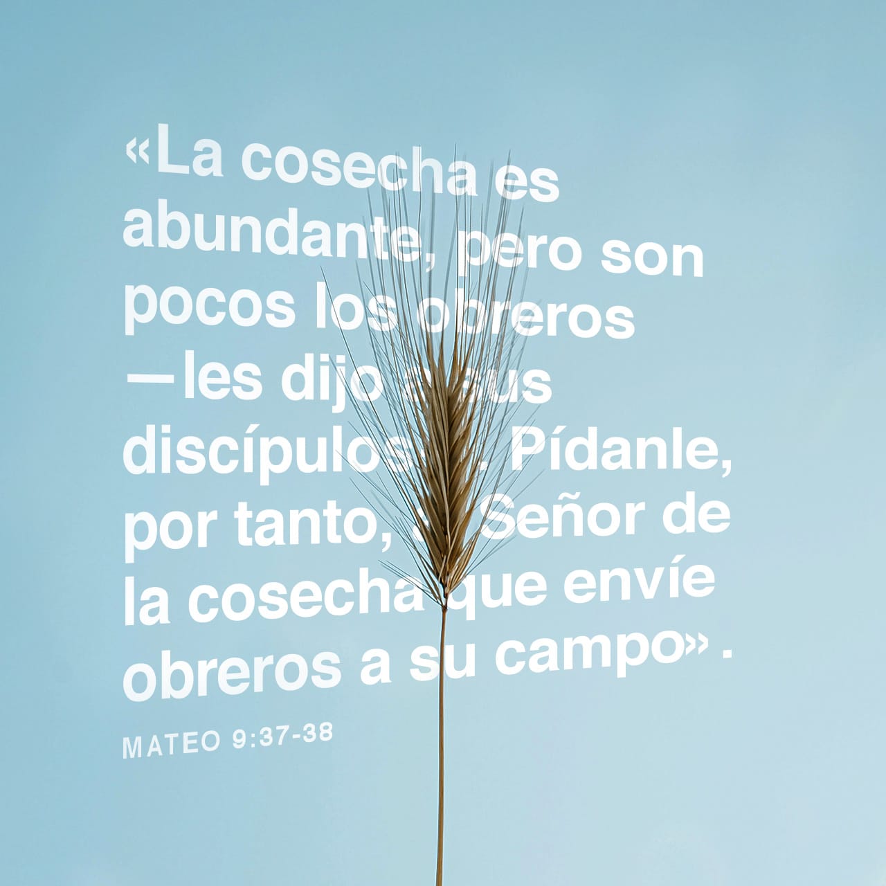 23 de octubre - Plaza