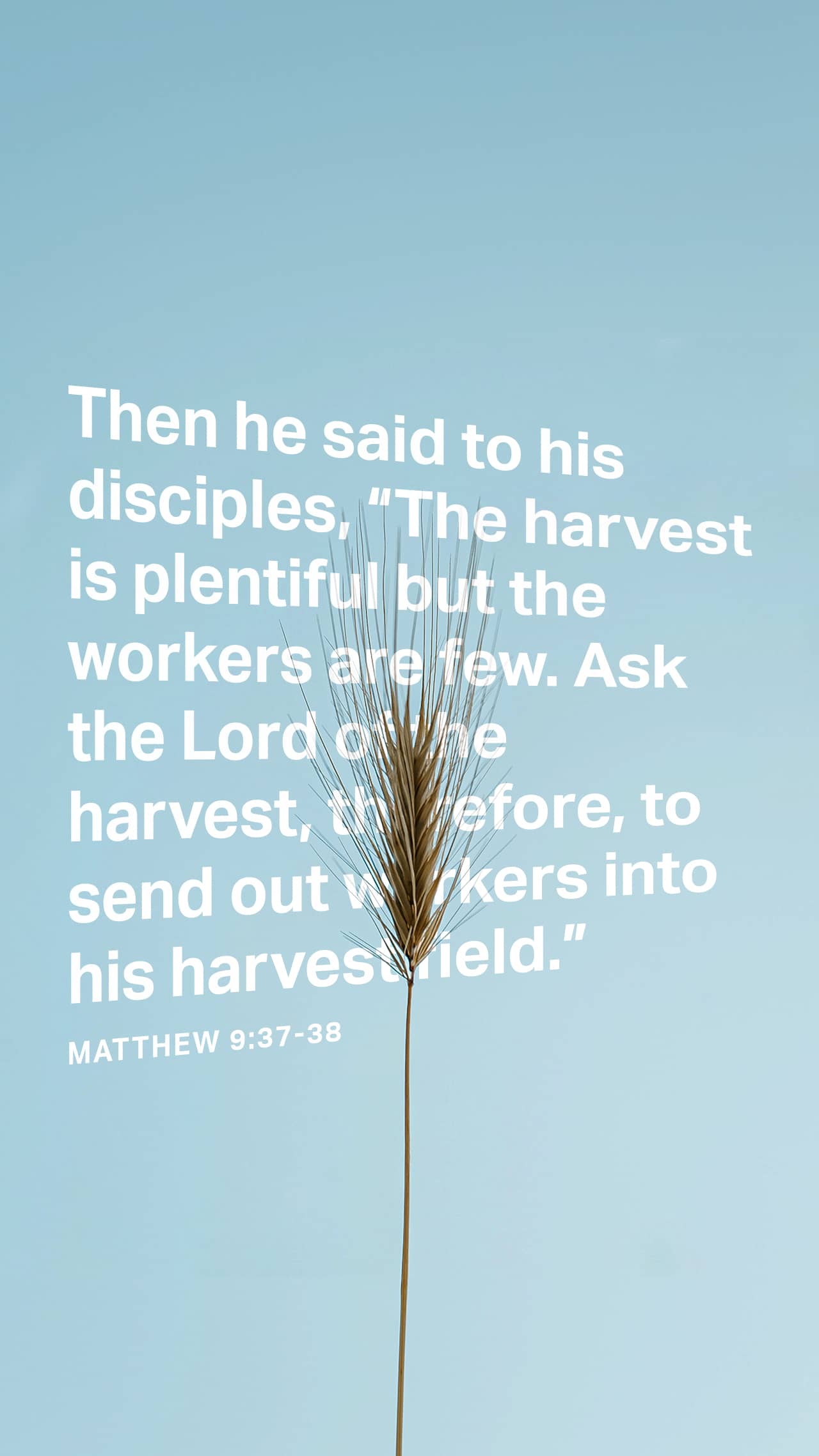 October 23 - Vertical