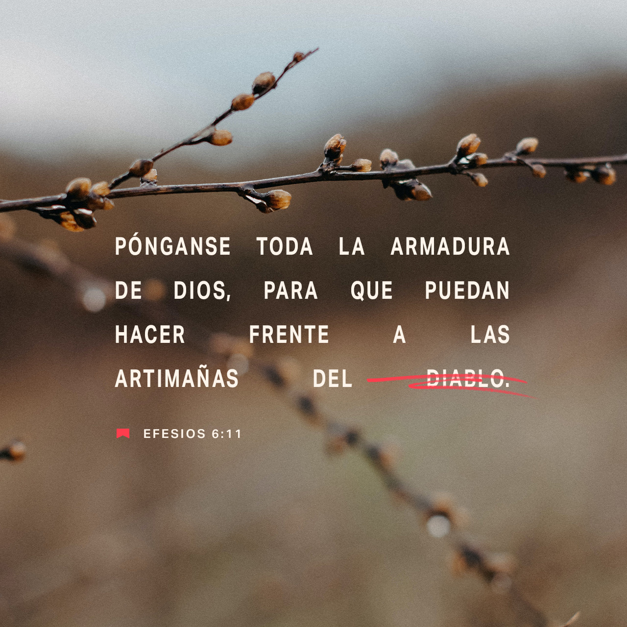 25 de octubre - Plaza