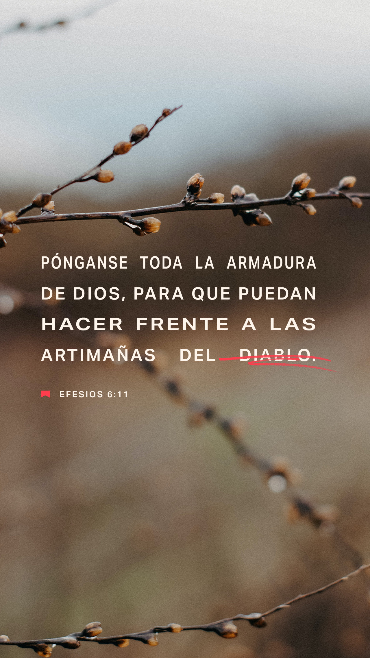 25 de octubre - Vertical