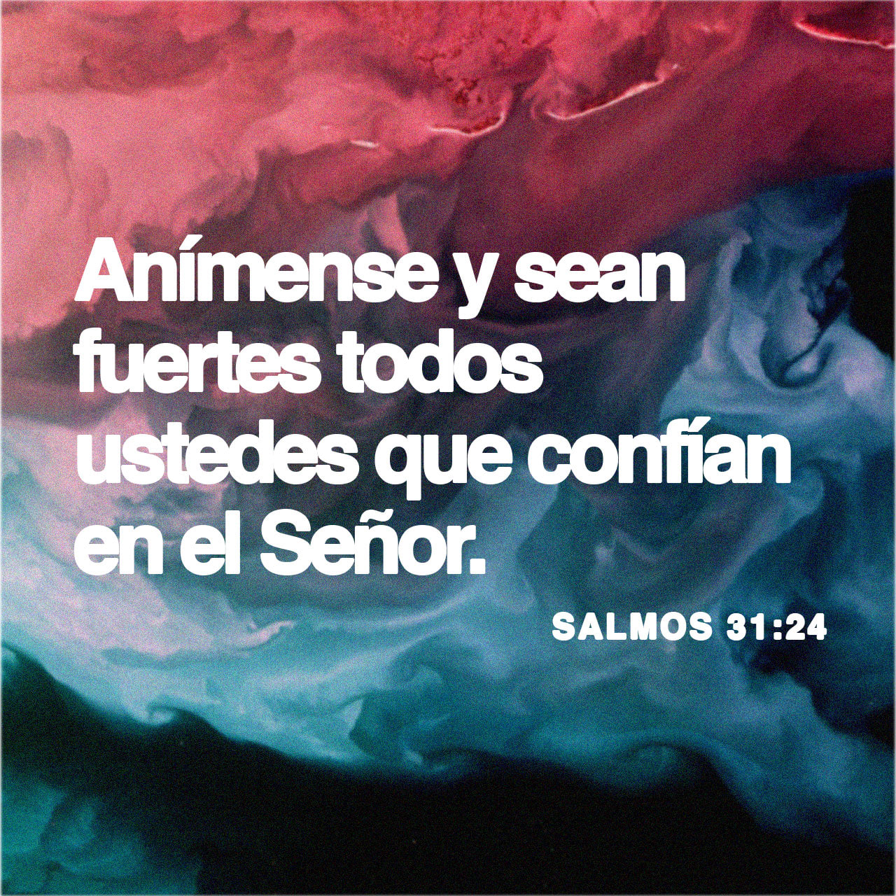 26 de octubre - Plaza