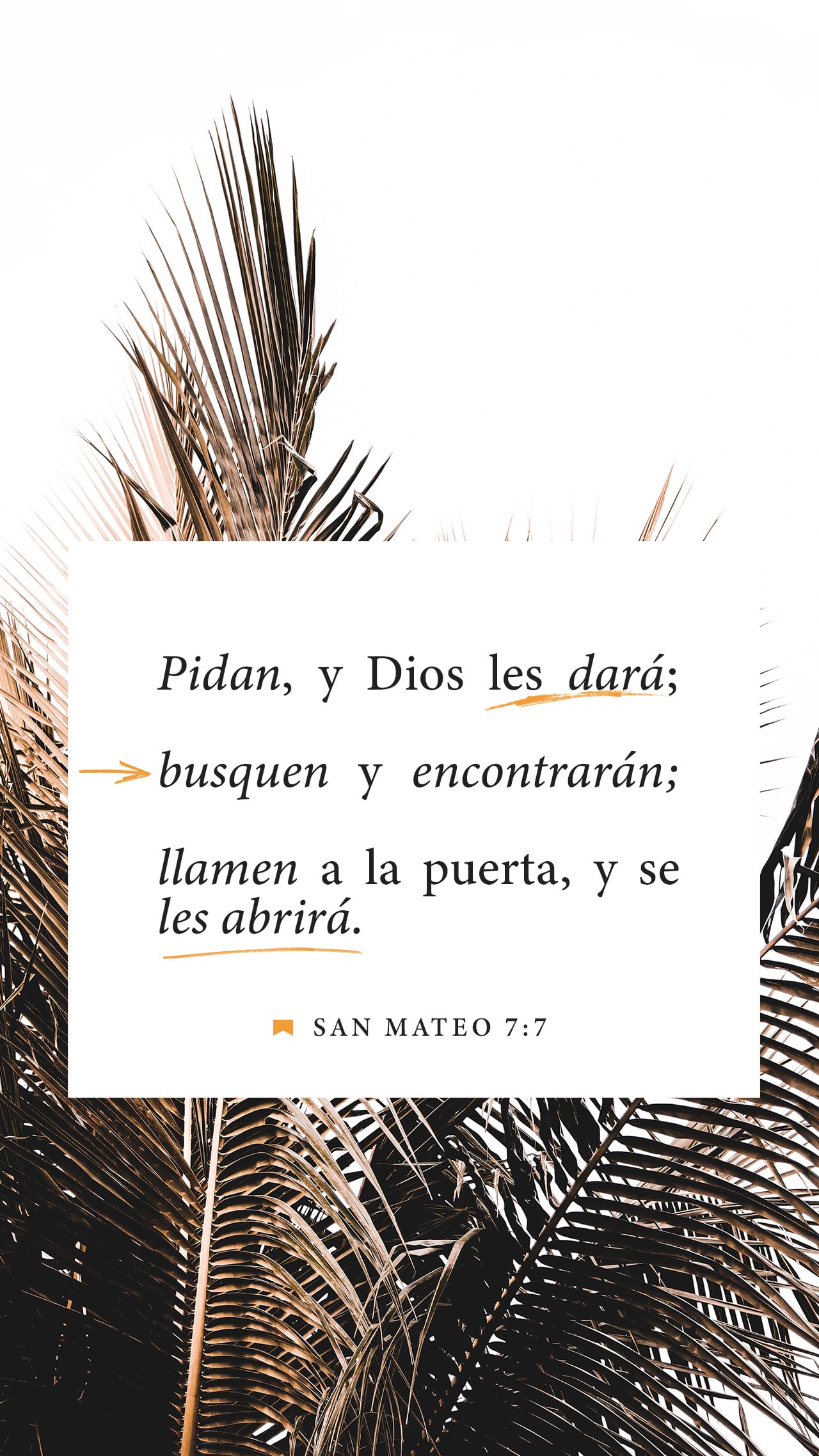 02 de septiembre - Vertical