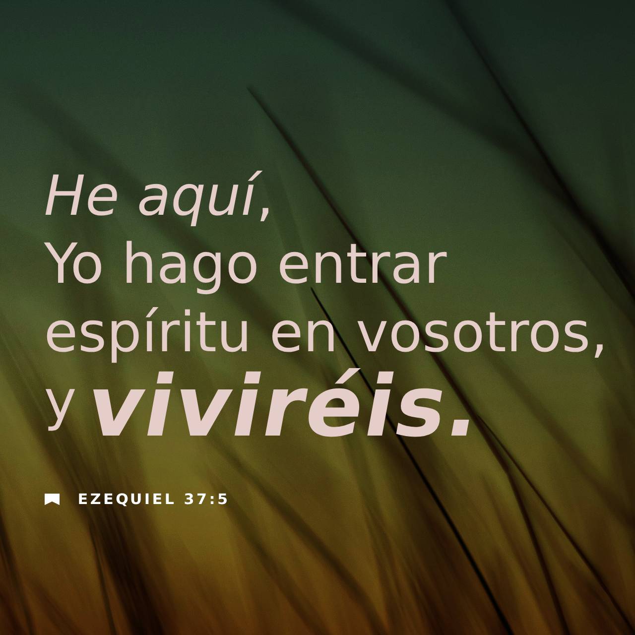 04 de septiembre - Plaza