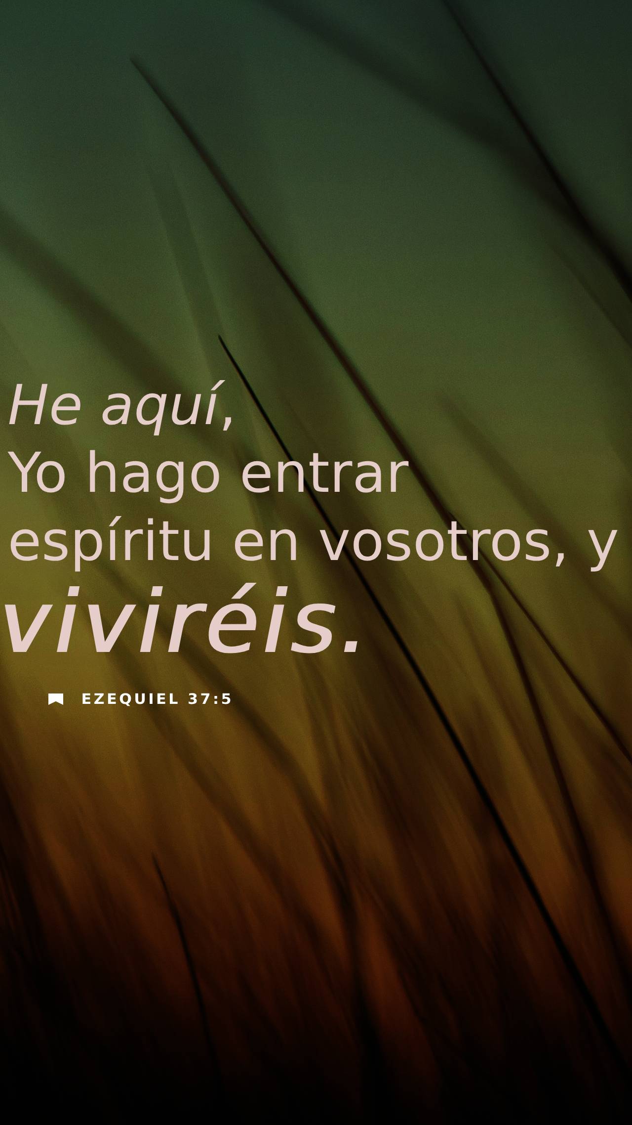 04 de septiembre - Vertical