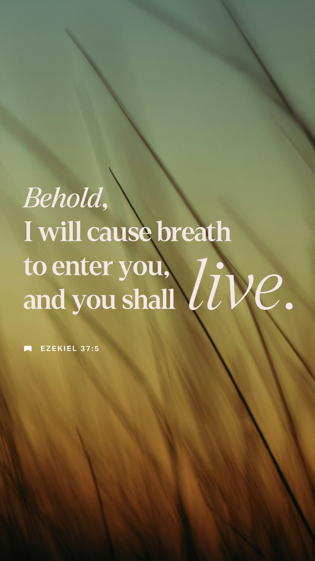 September 04 - Vertical