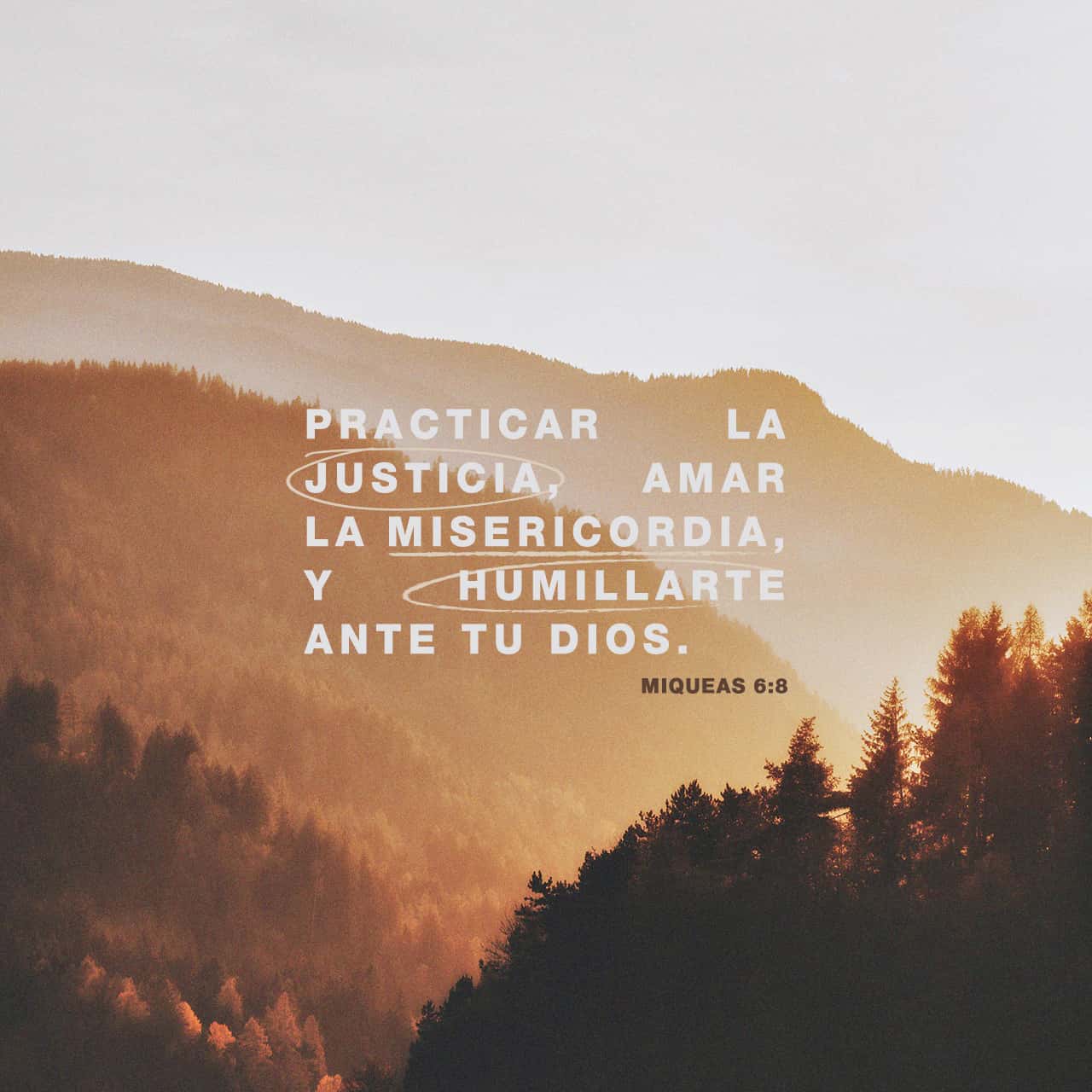 06 de septiembre - Plaza