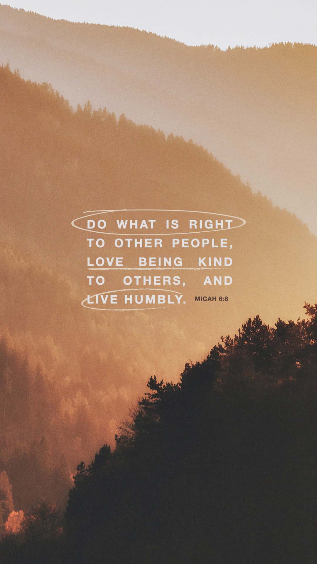 September 06 - Vertical