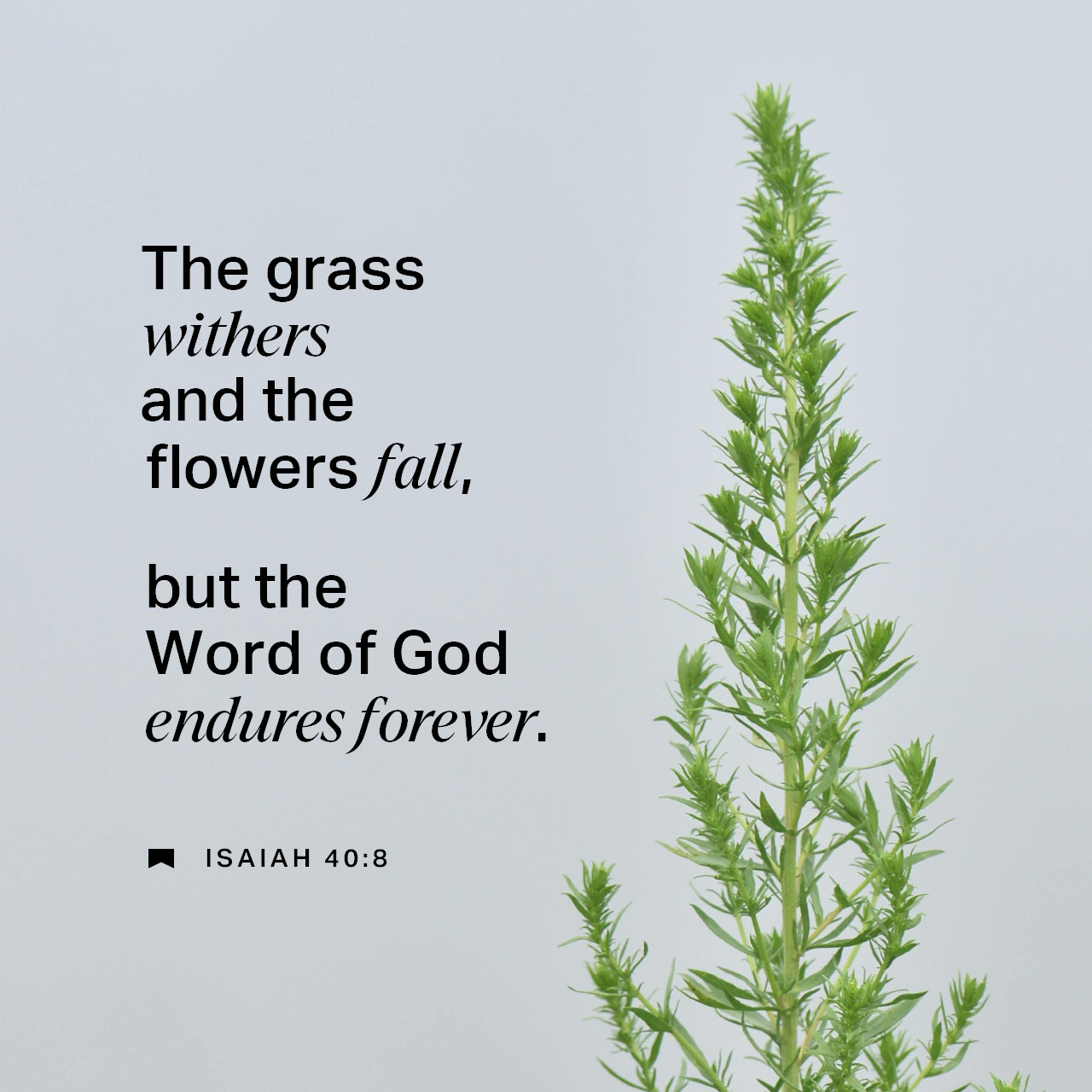 September 15 - Square