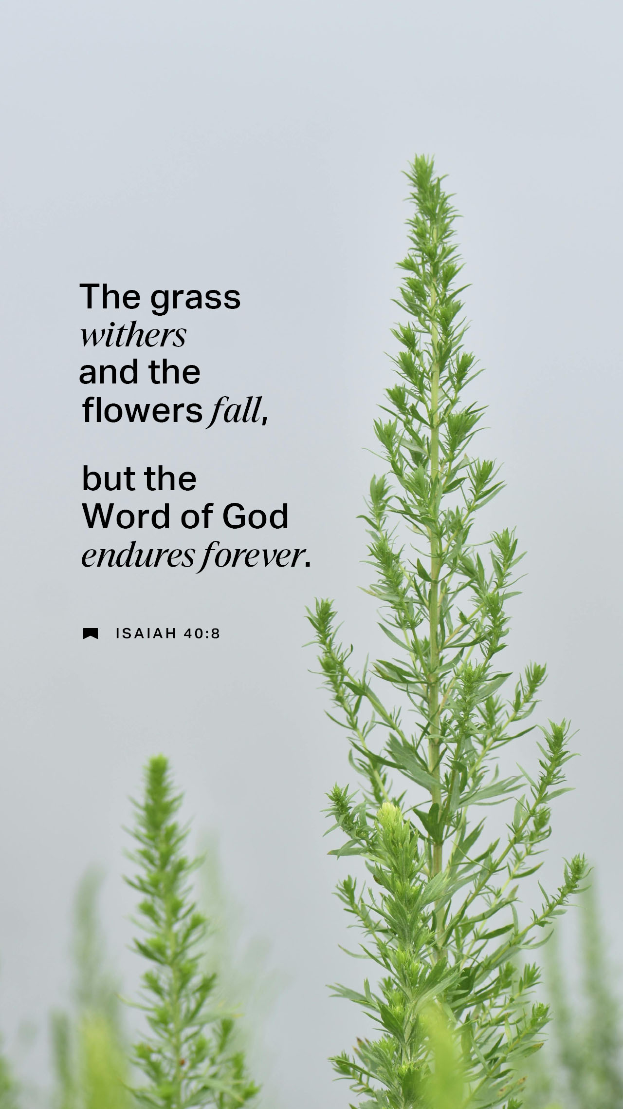 September 15 - Vertical