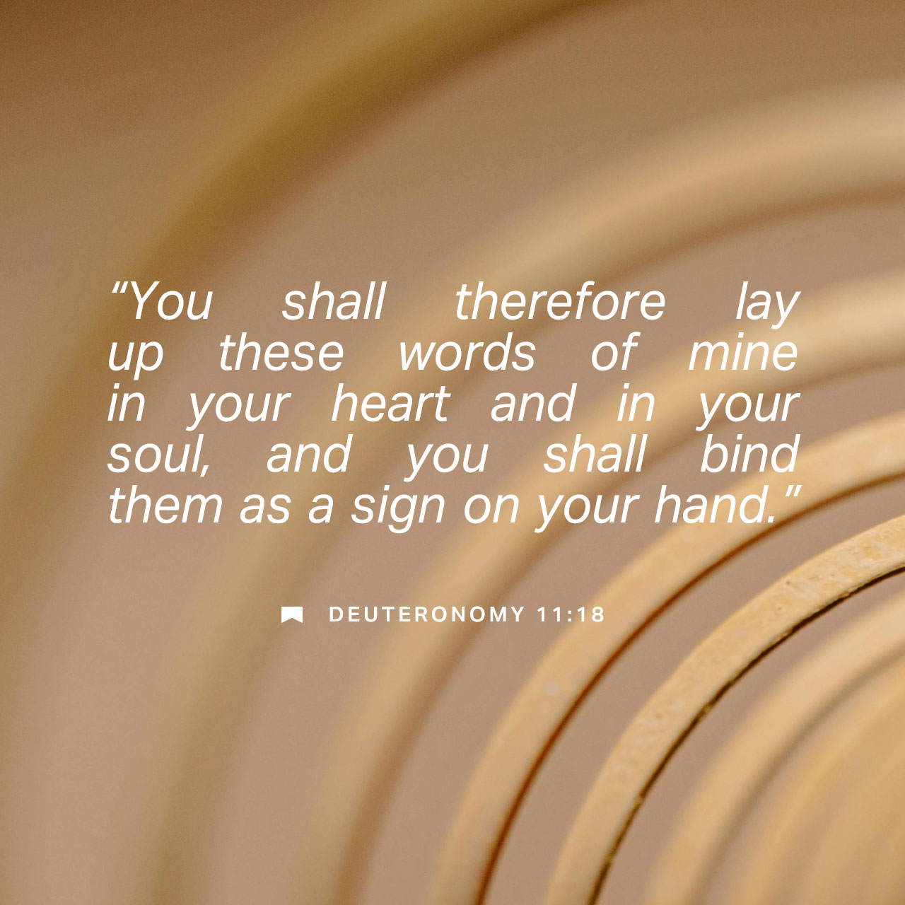 September 16 - Square