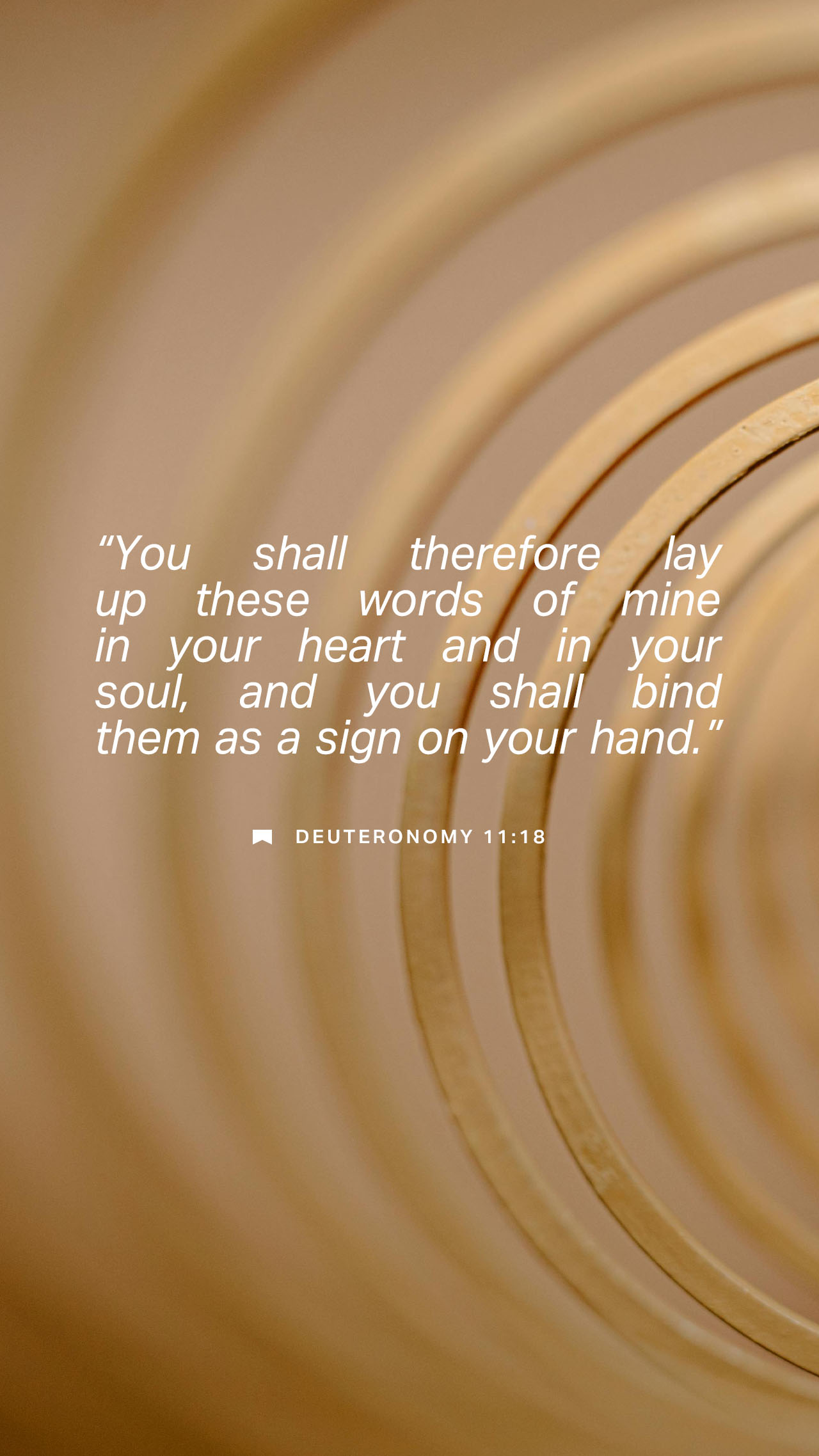 September 16 - Vertical