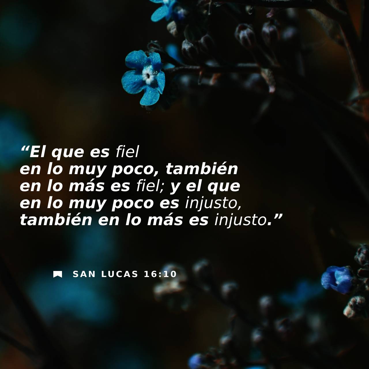 21 de septiembre - Plaza