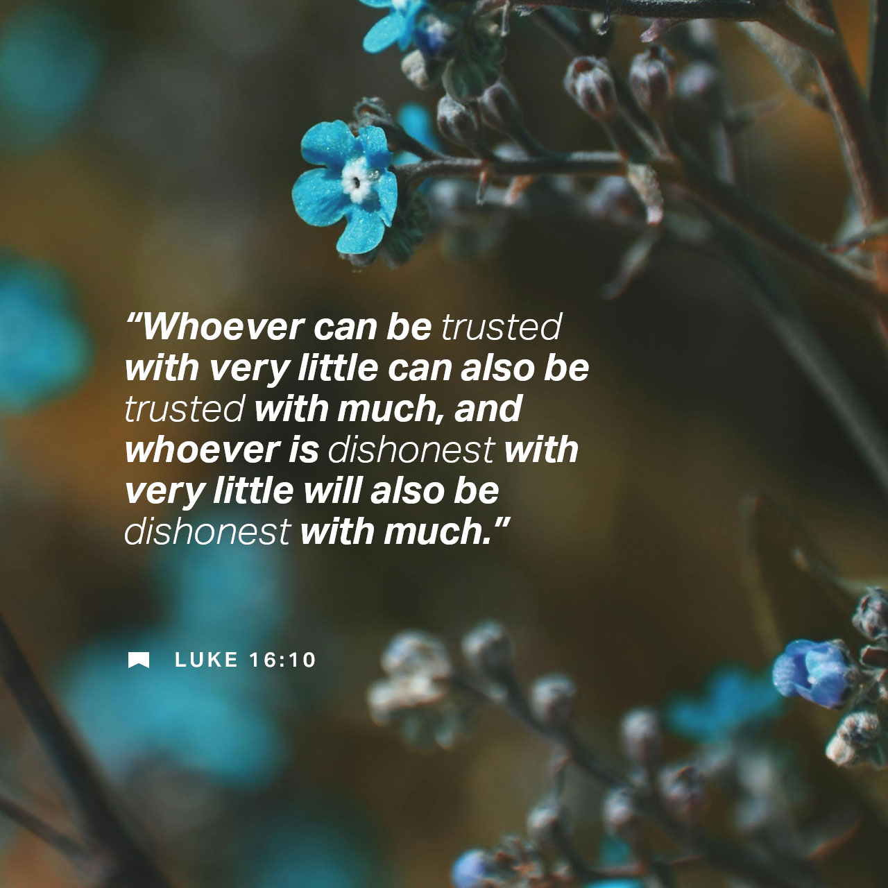 September 21 - Square