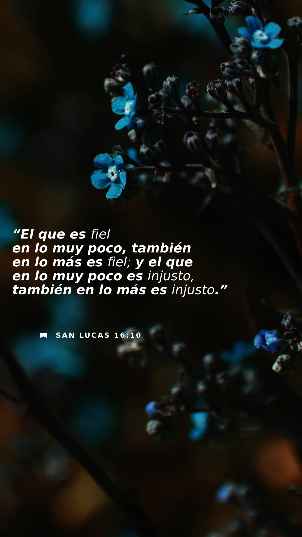 21 de septiembre - Vertical