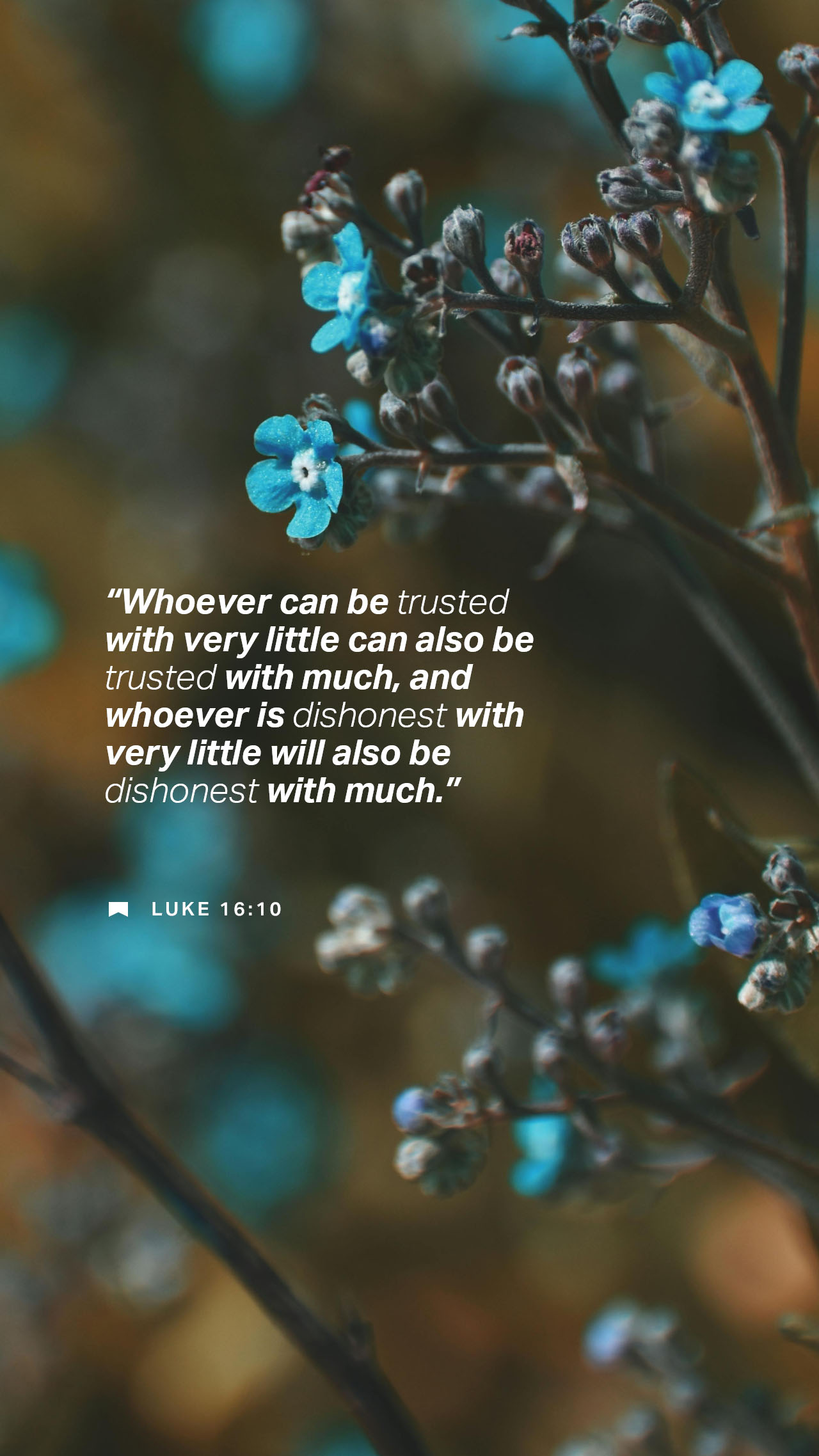 September 21 - Vertical