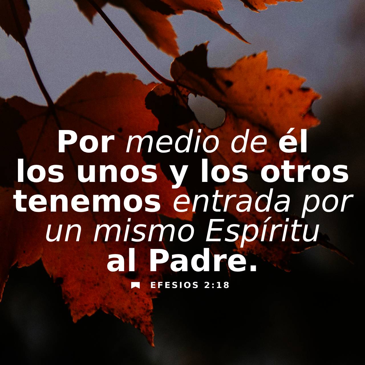 23 de septiembre - Plaza