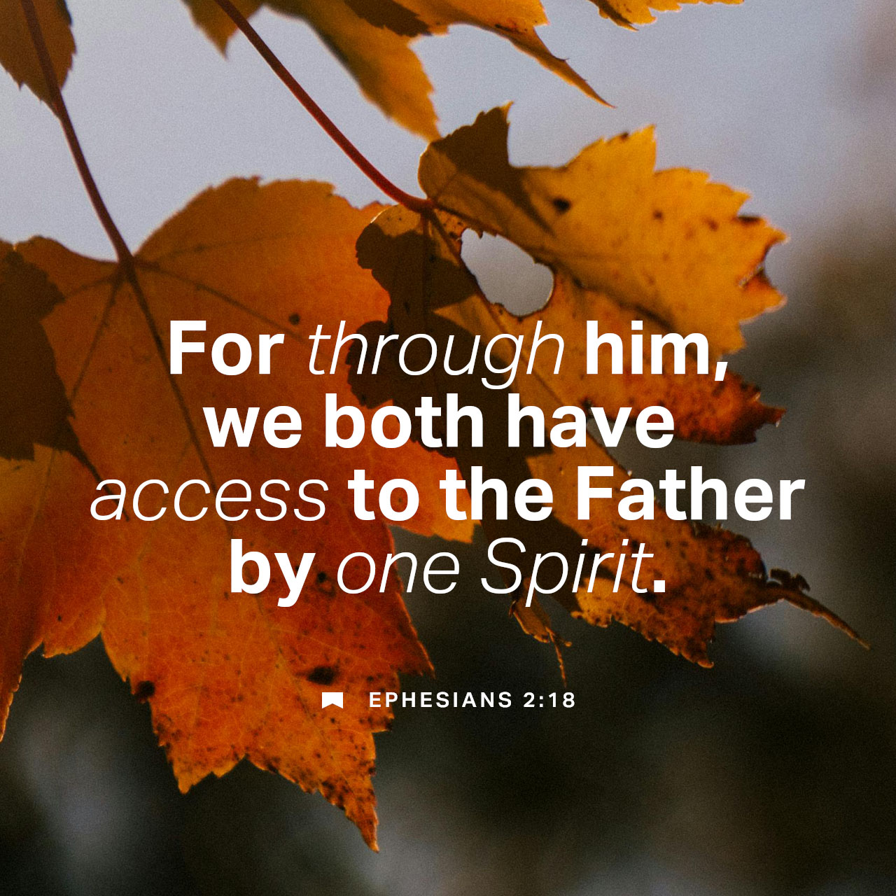 September 23 - Square