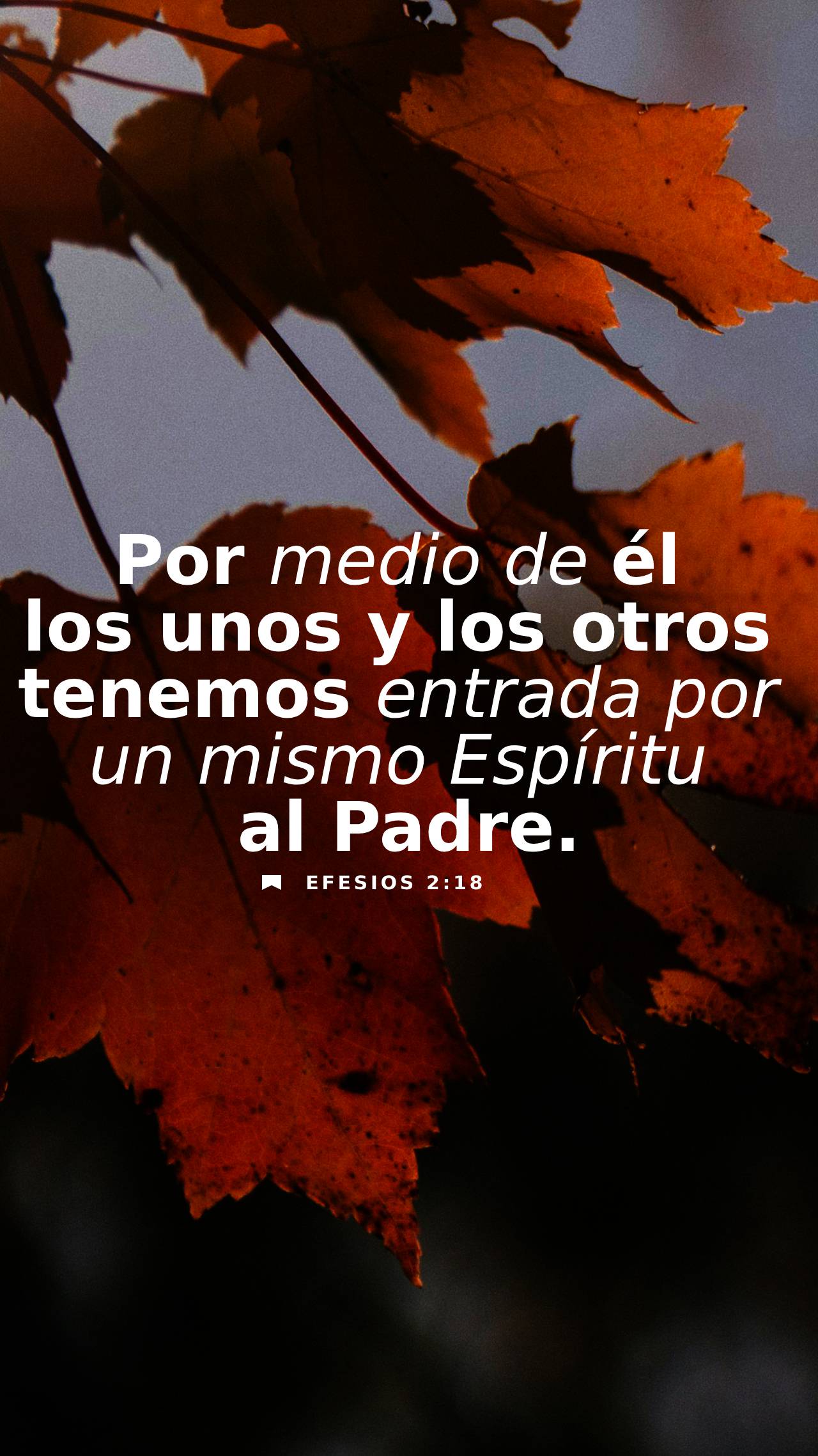 23 de septiembre - Vertical