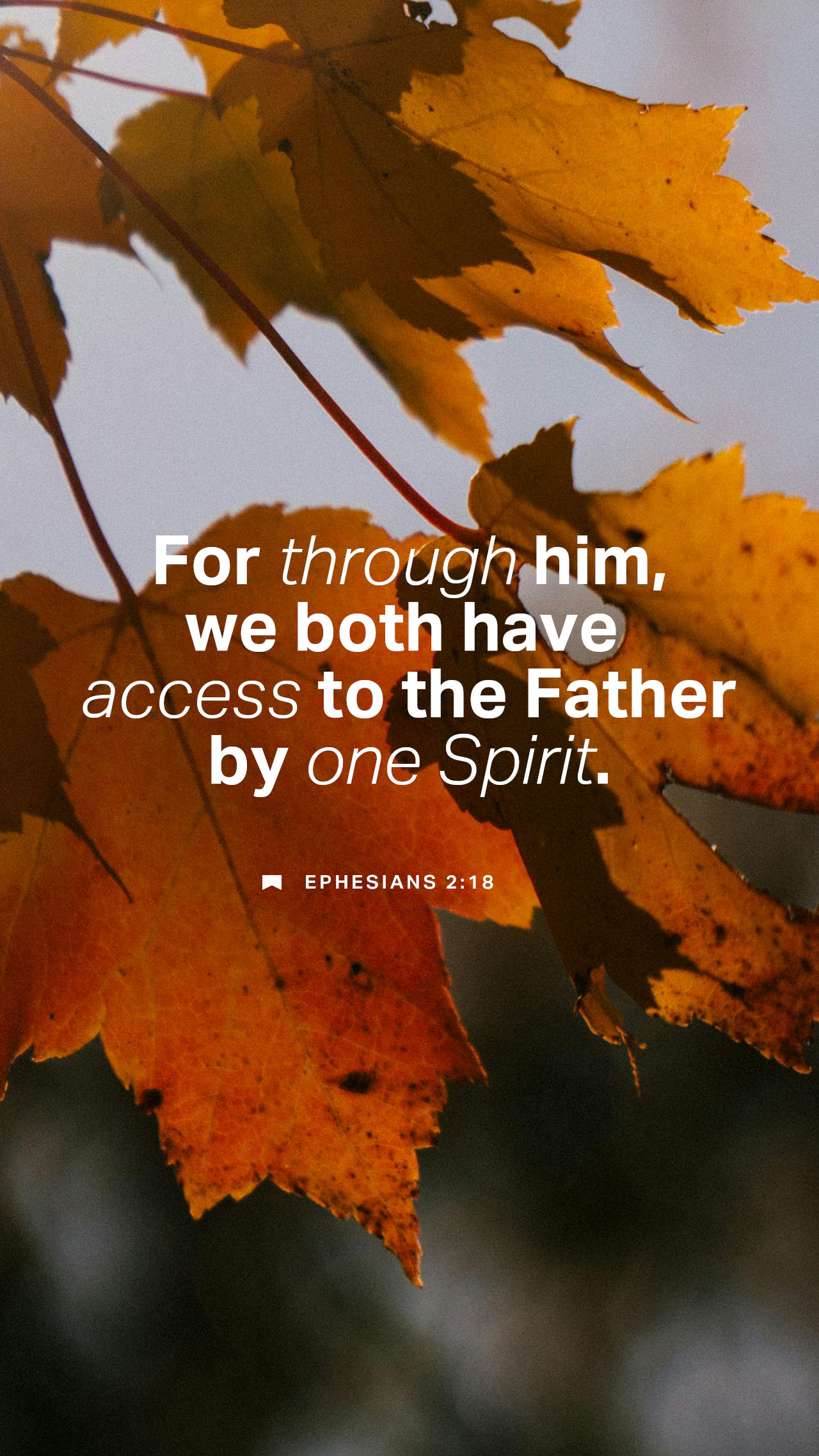 September 23 - Vertical