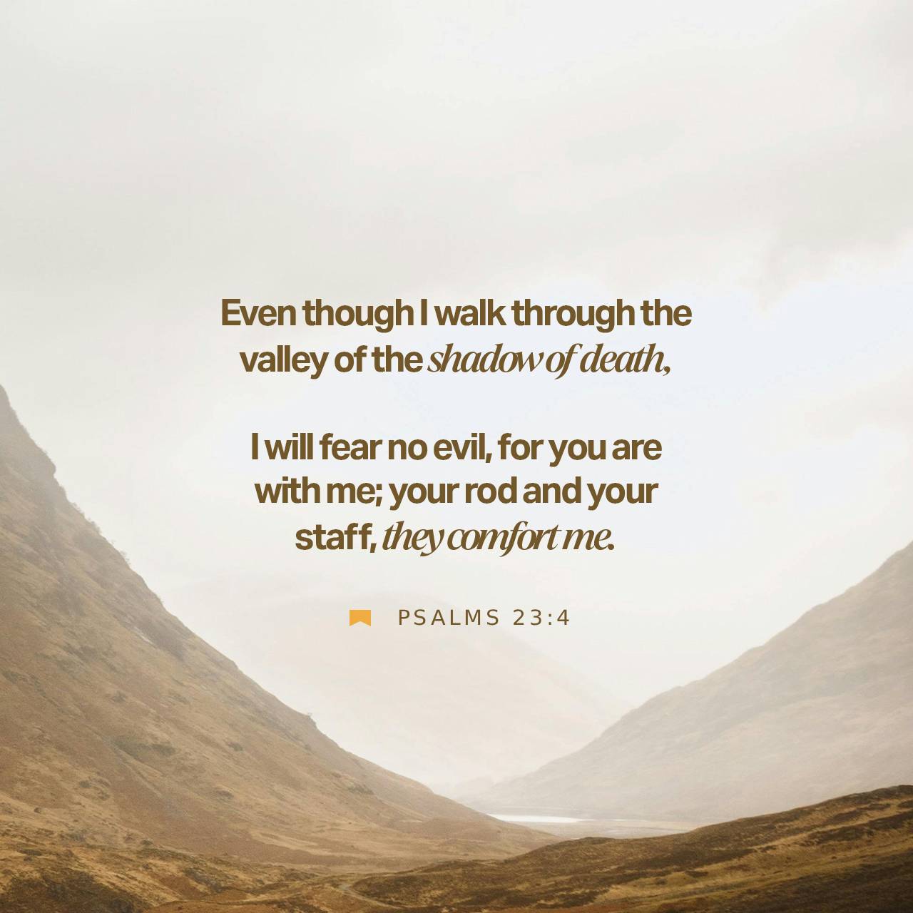 February 03 - Square