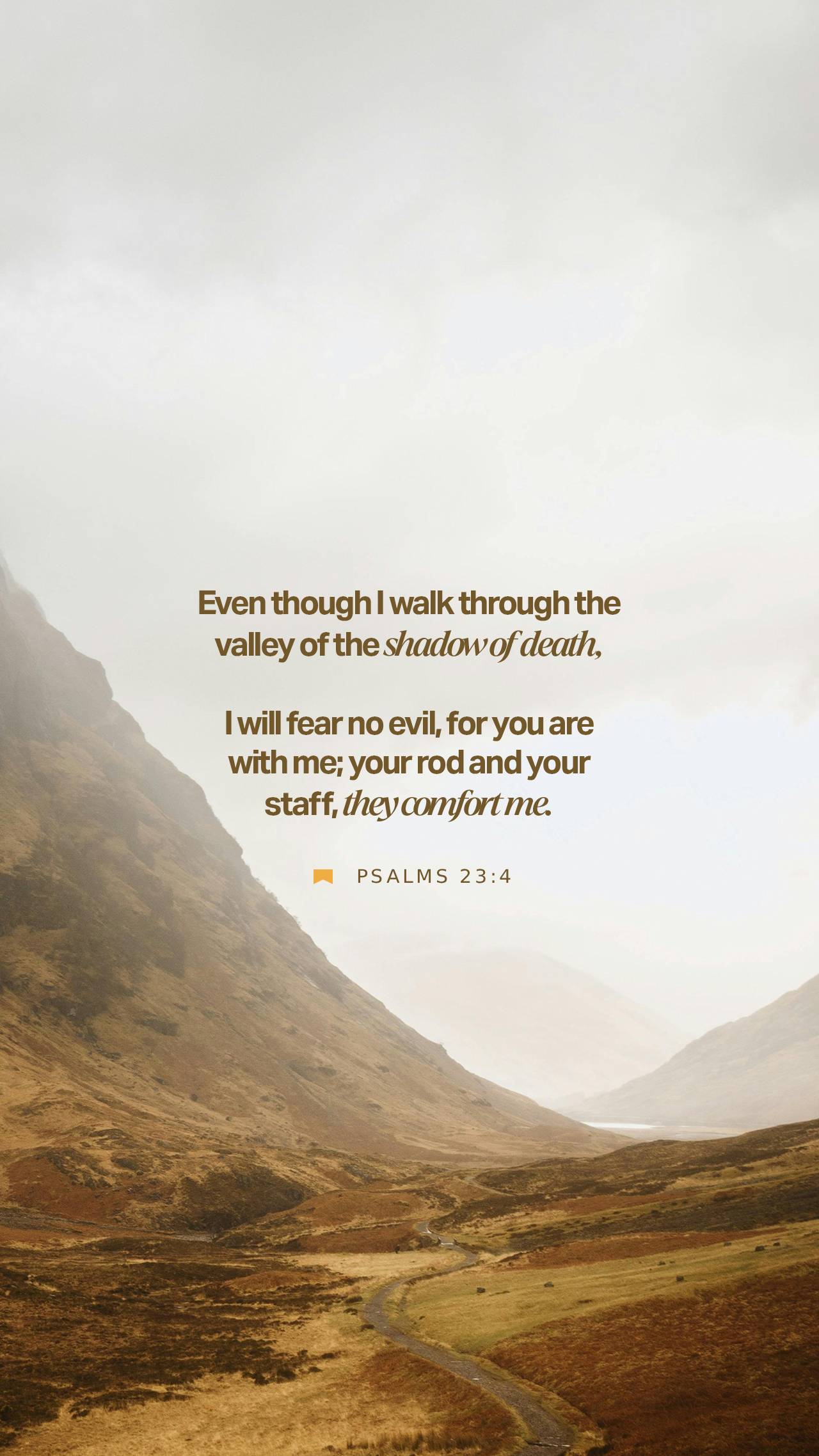 February 03 - Vertical