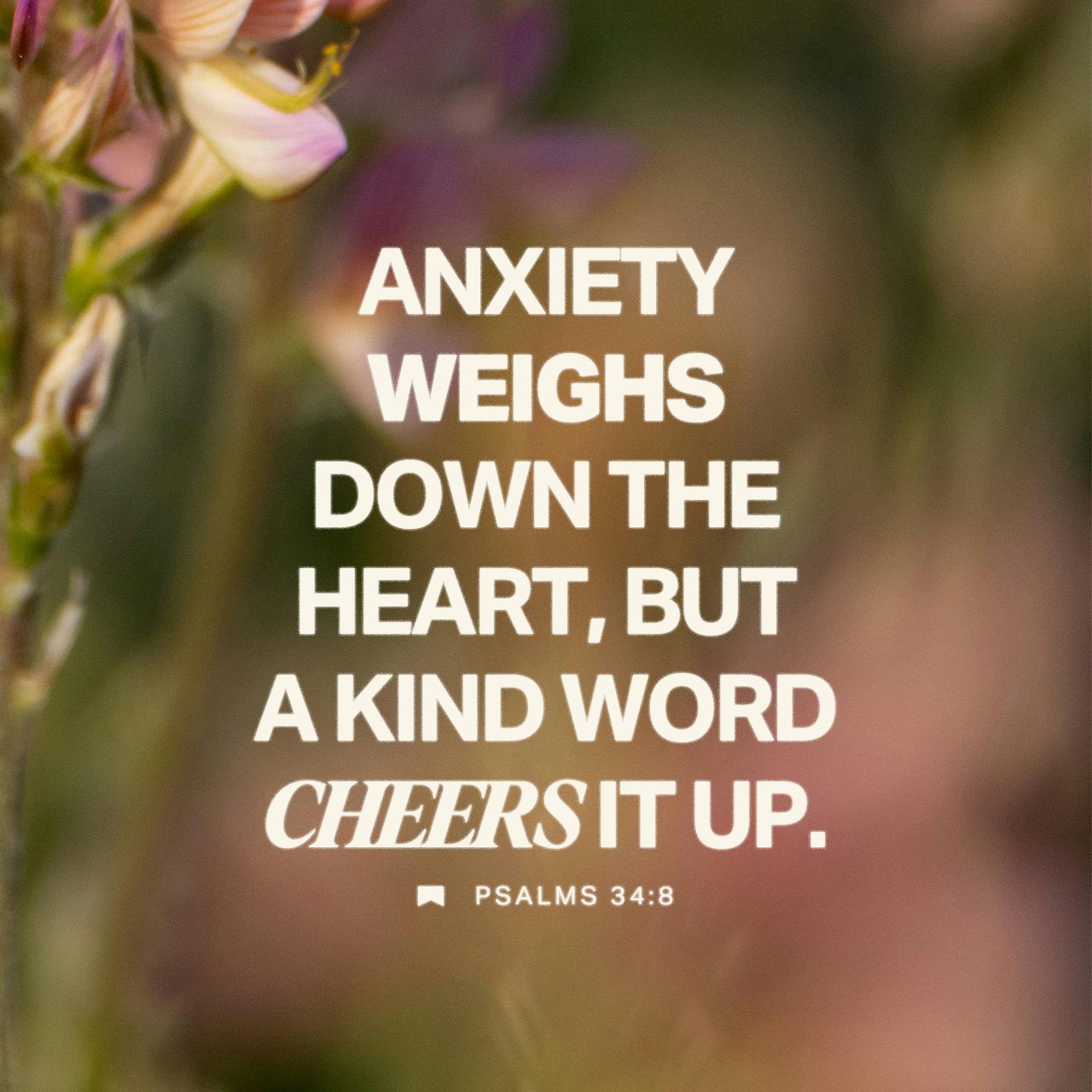 February 05 - Square