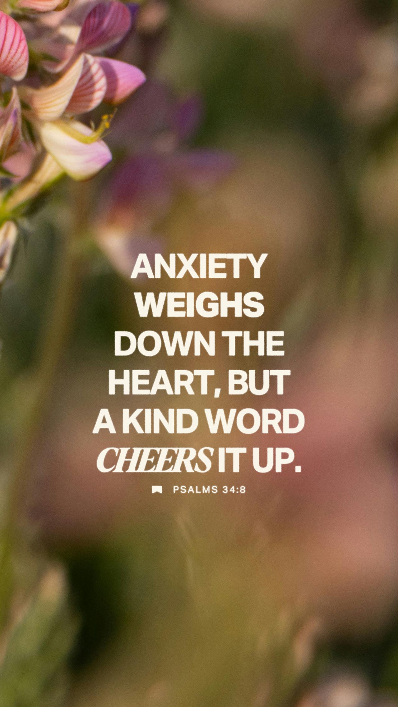 February 05 - Vertical