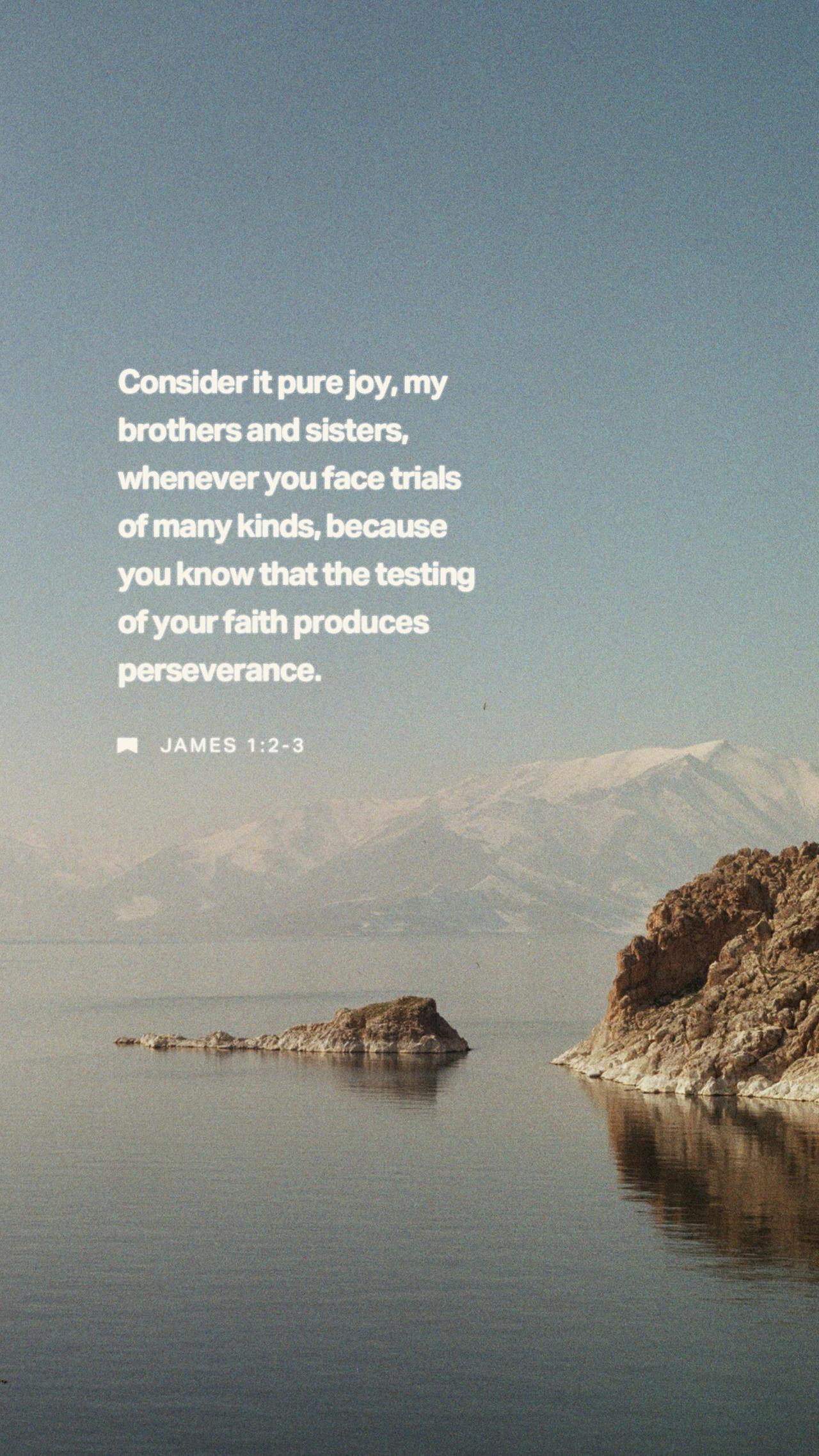 February 08 - Vertical