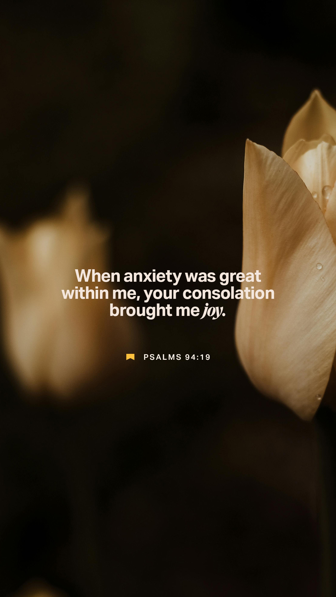 February 09 - Vertical