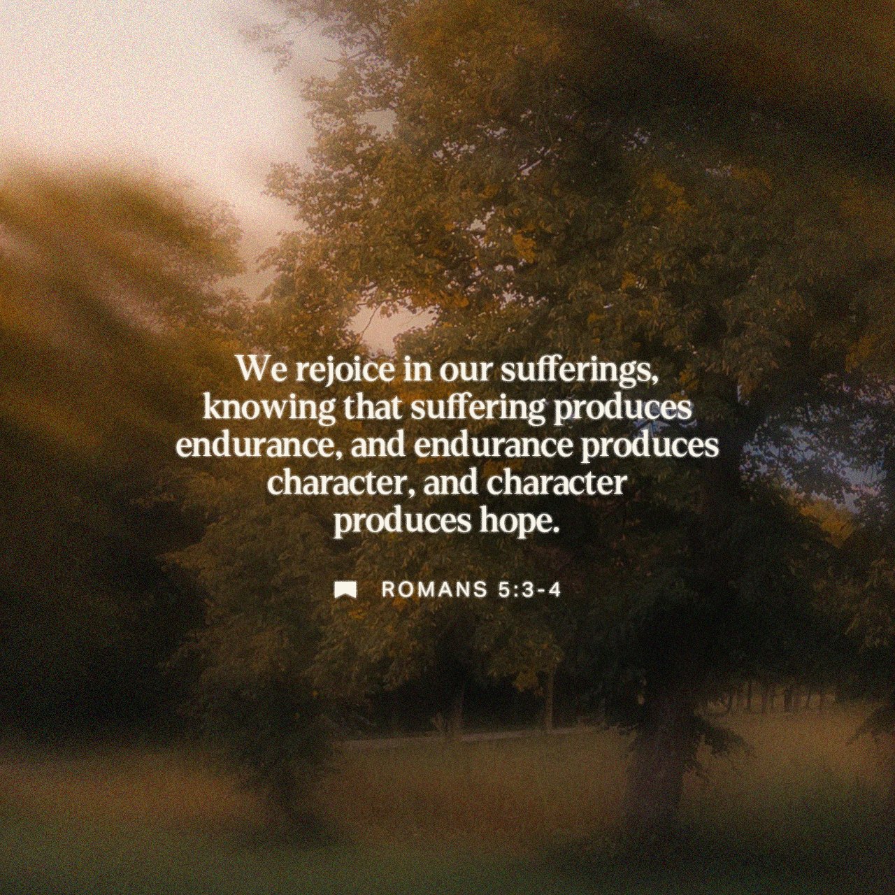 February 10 - Square