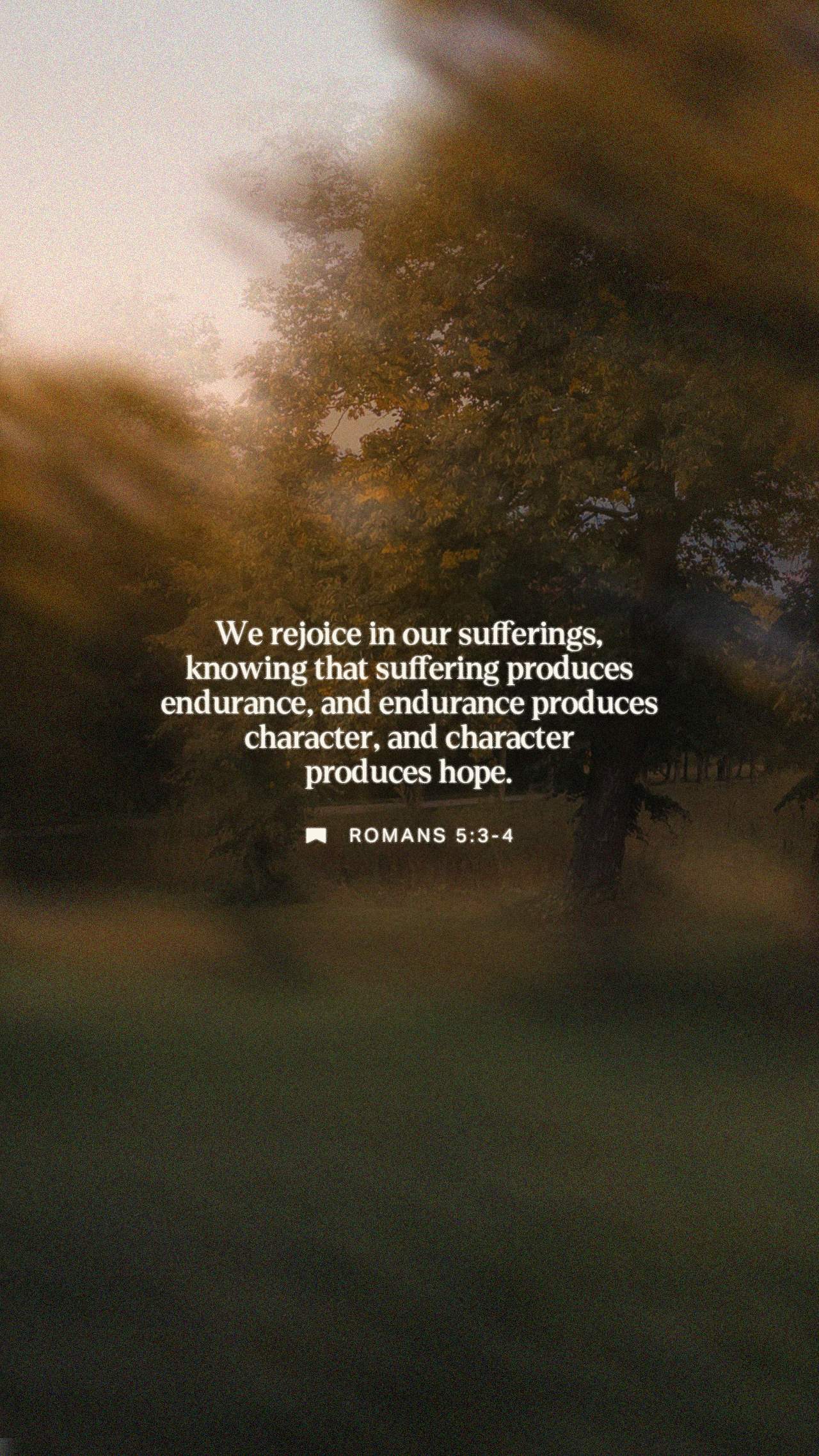 February 10 - Vertical