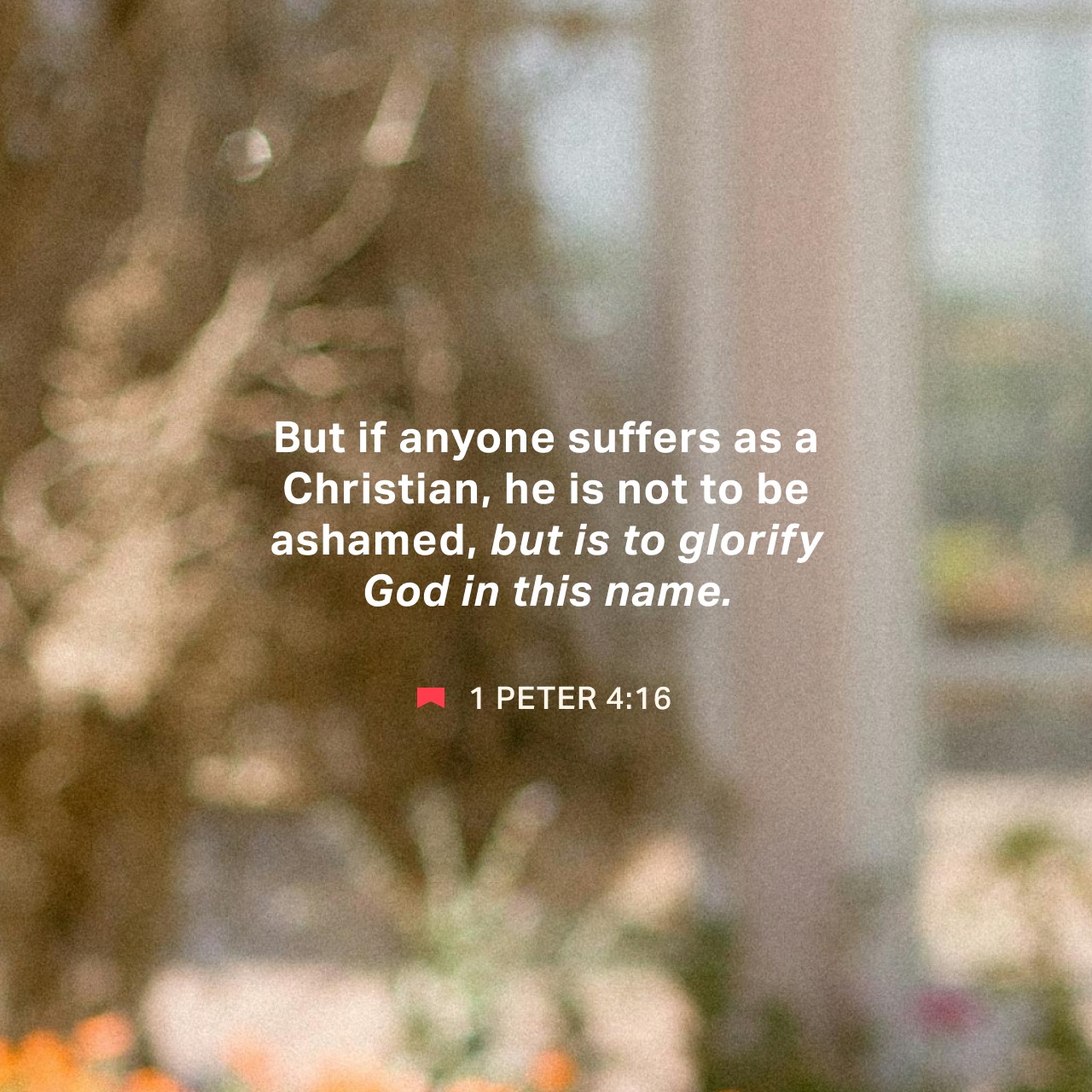 February 13 - Square