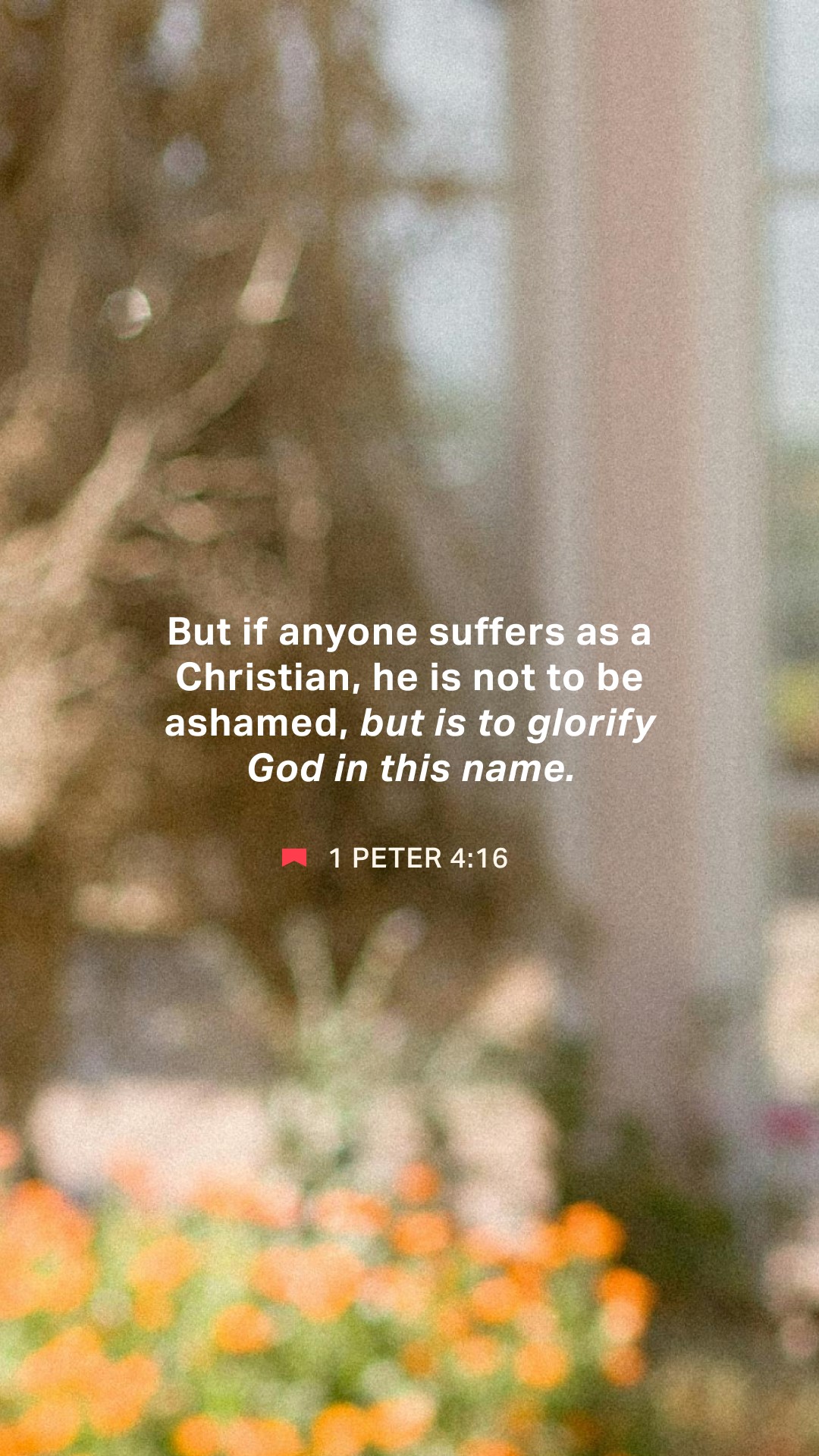 February 13 - Vertical