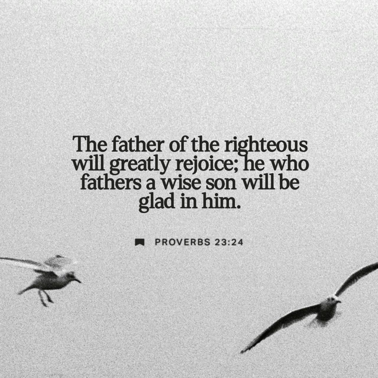 February 15 - Square