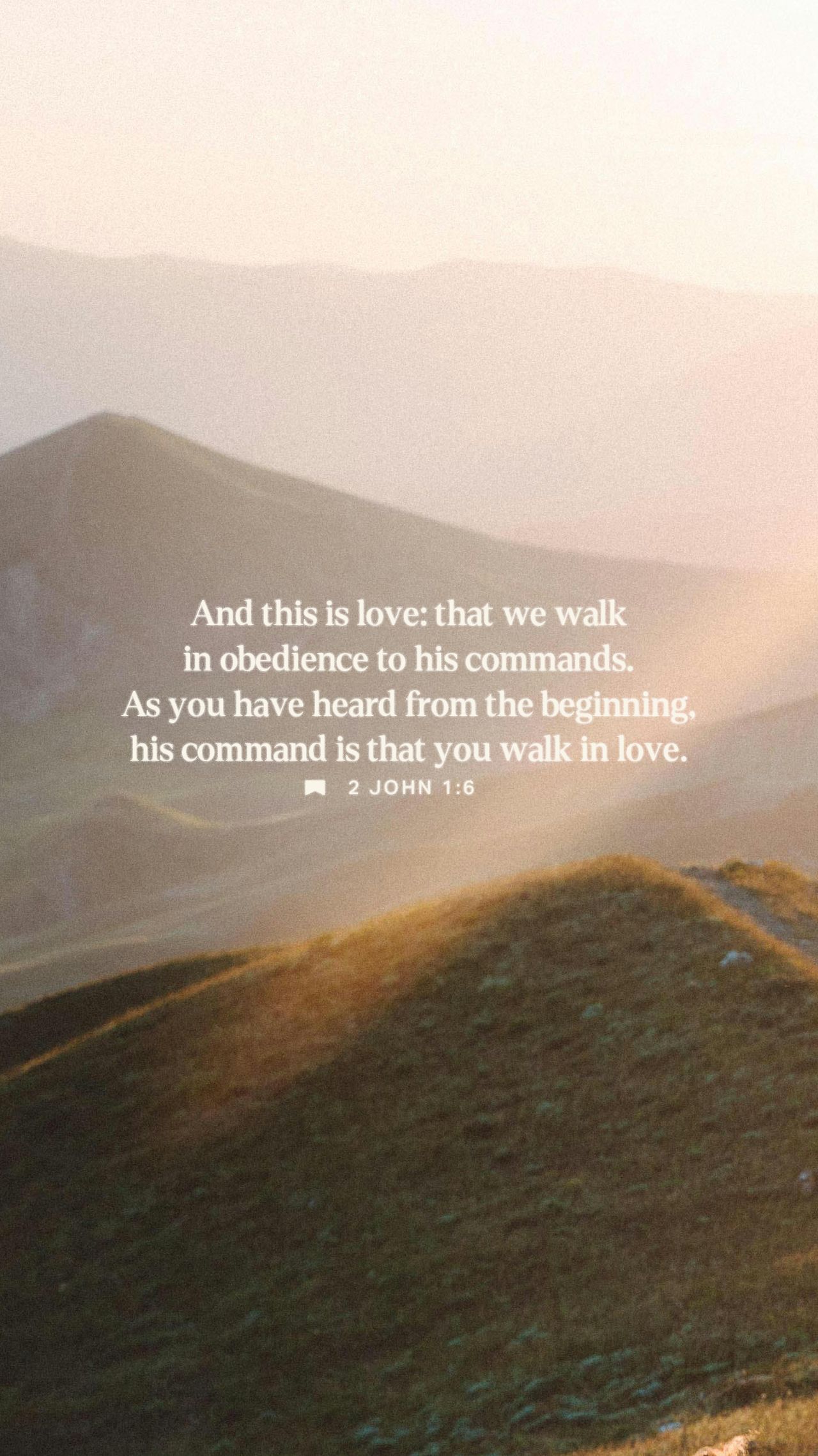 February 16 - Vertical