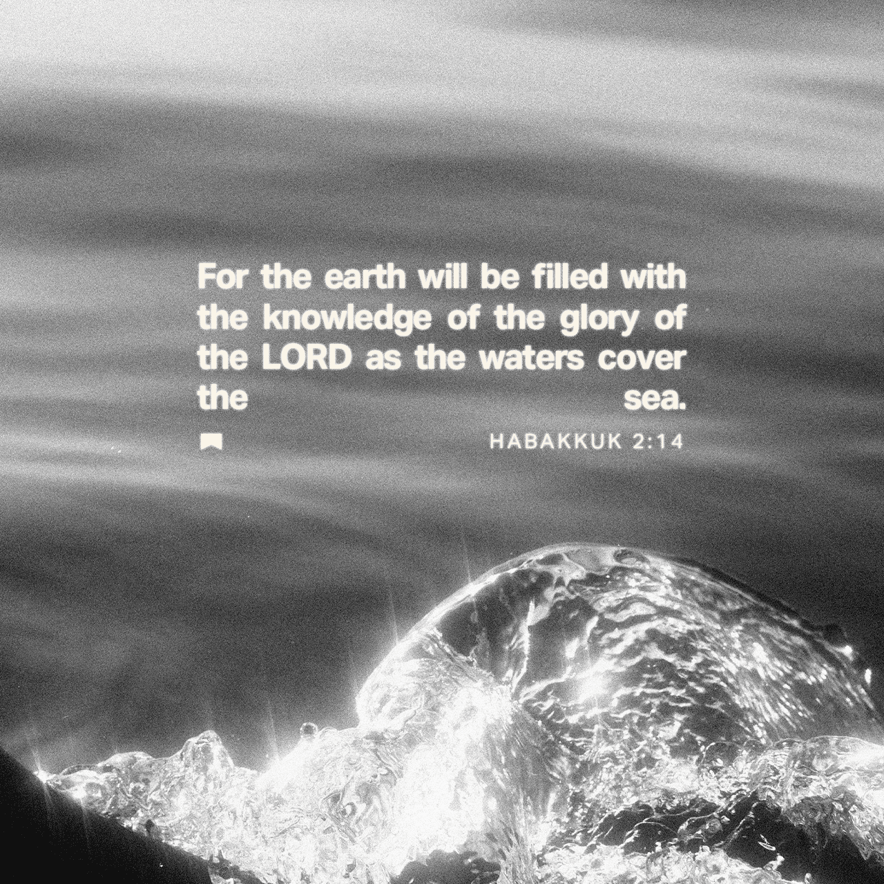 February 17 - Square