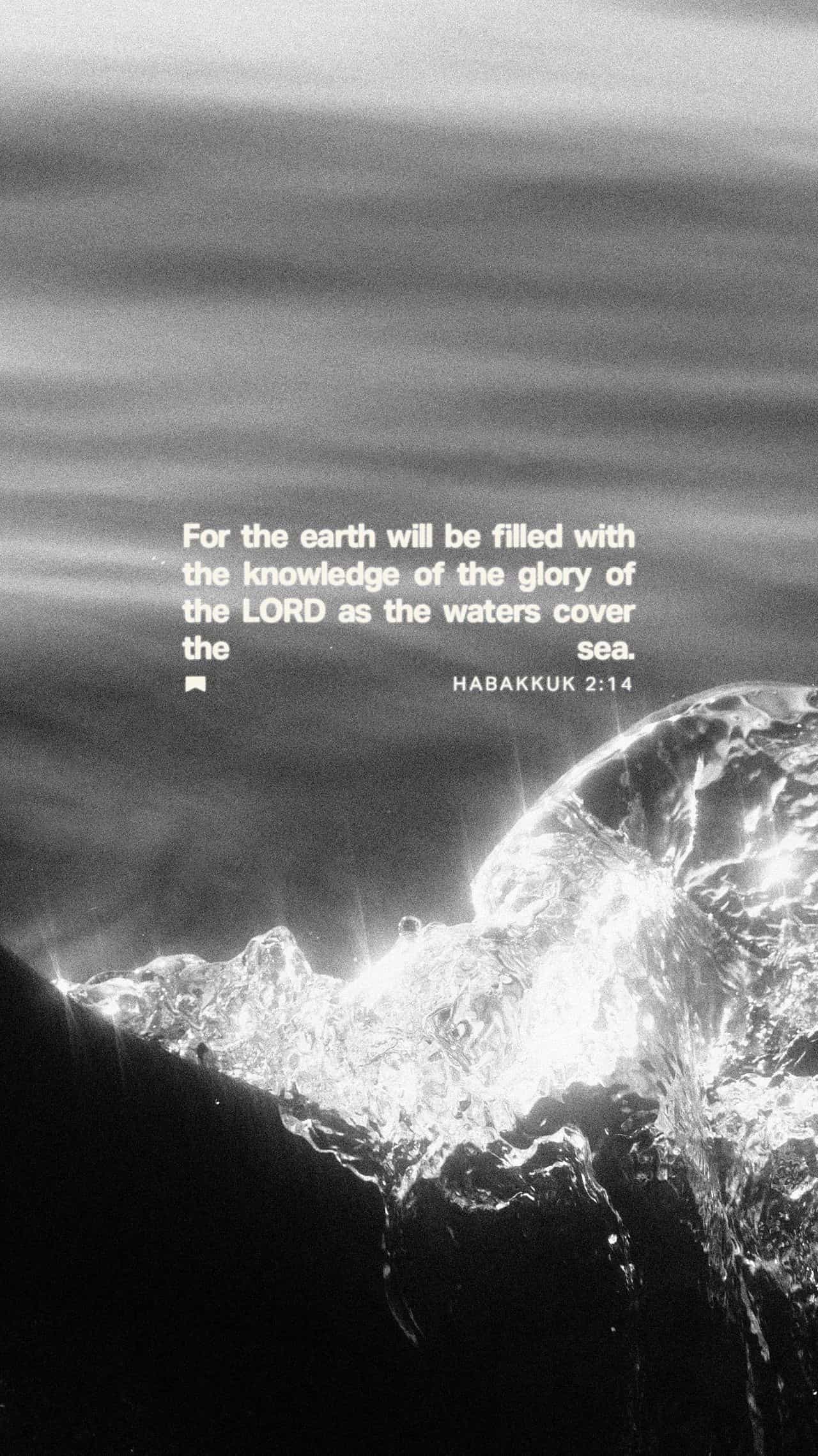 February 17 - Vertical