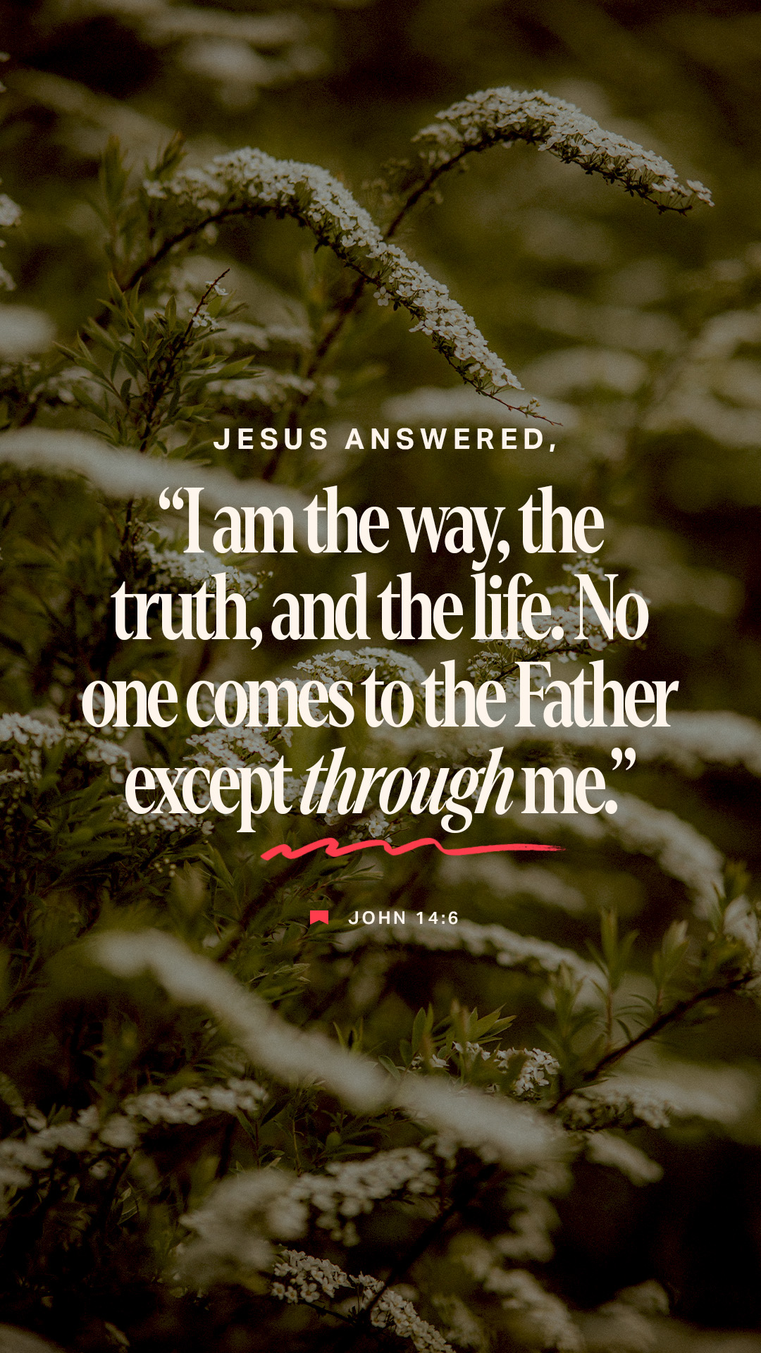 February 21 - Vertical