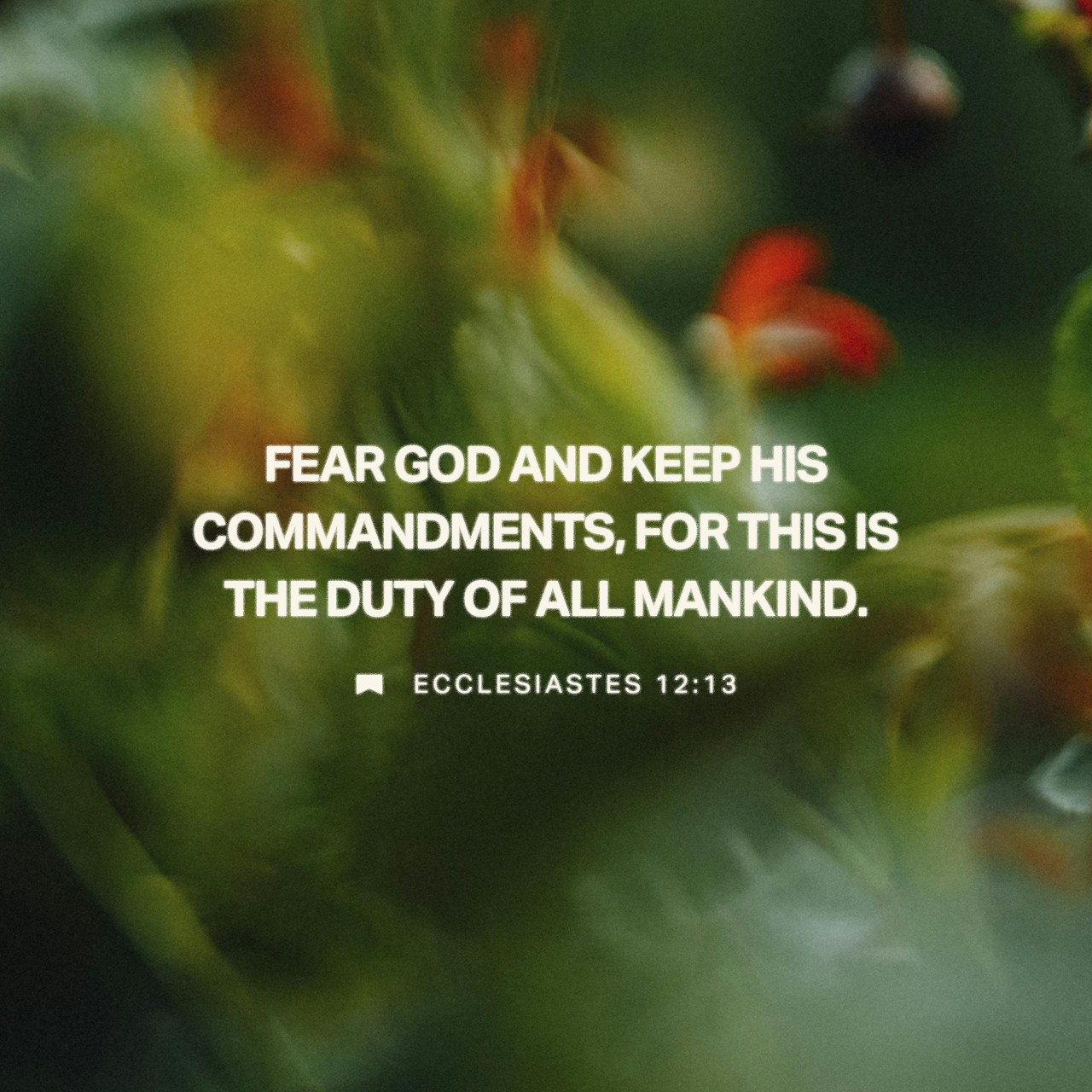 February 23 - Square