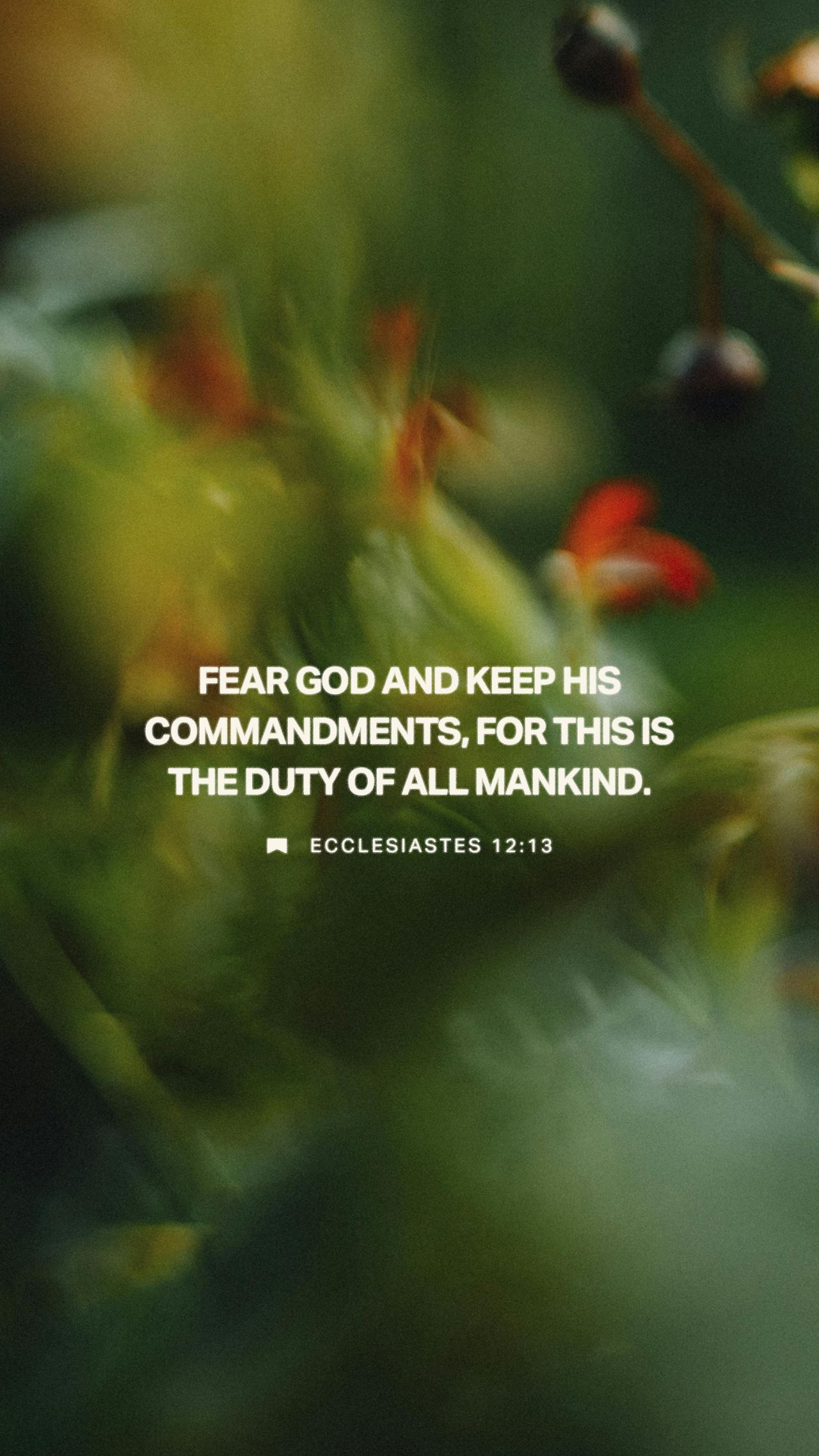 February 23 - Vertical