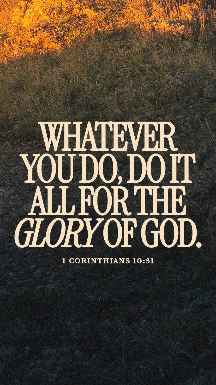 January 07 - Vertical