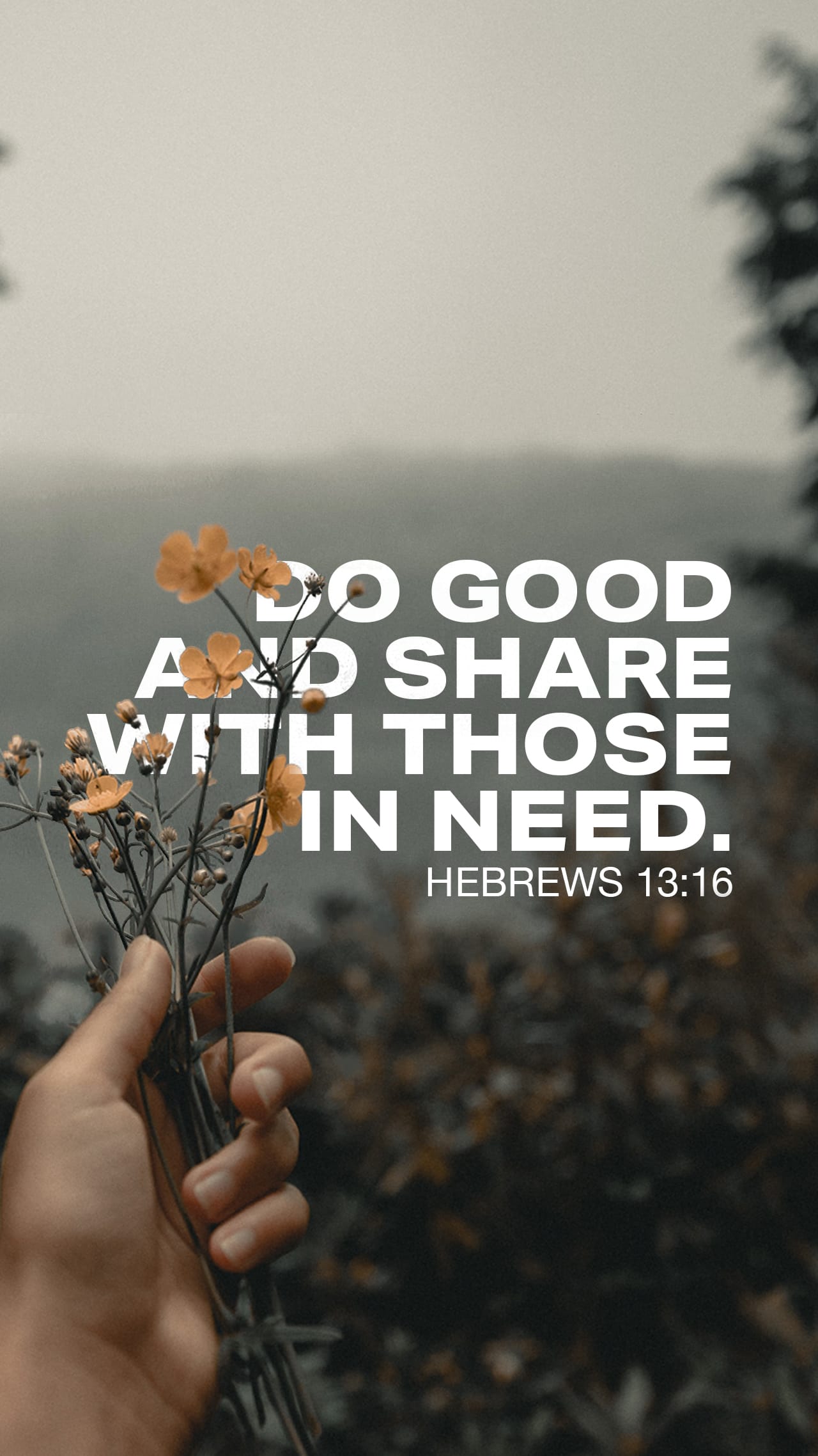 January 08 - Vertical