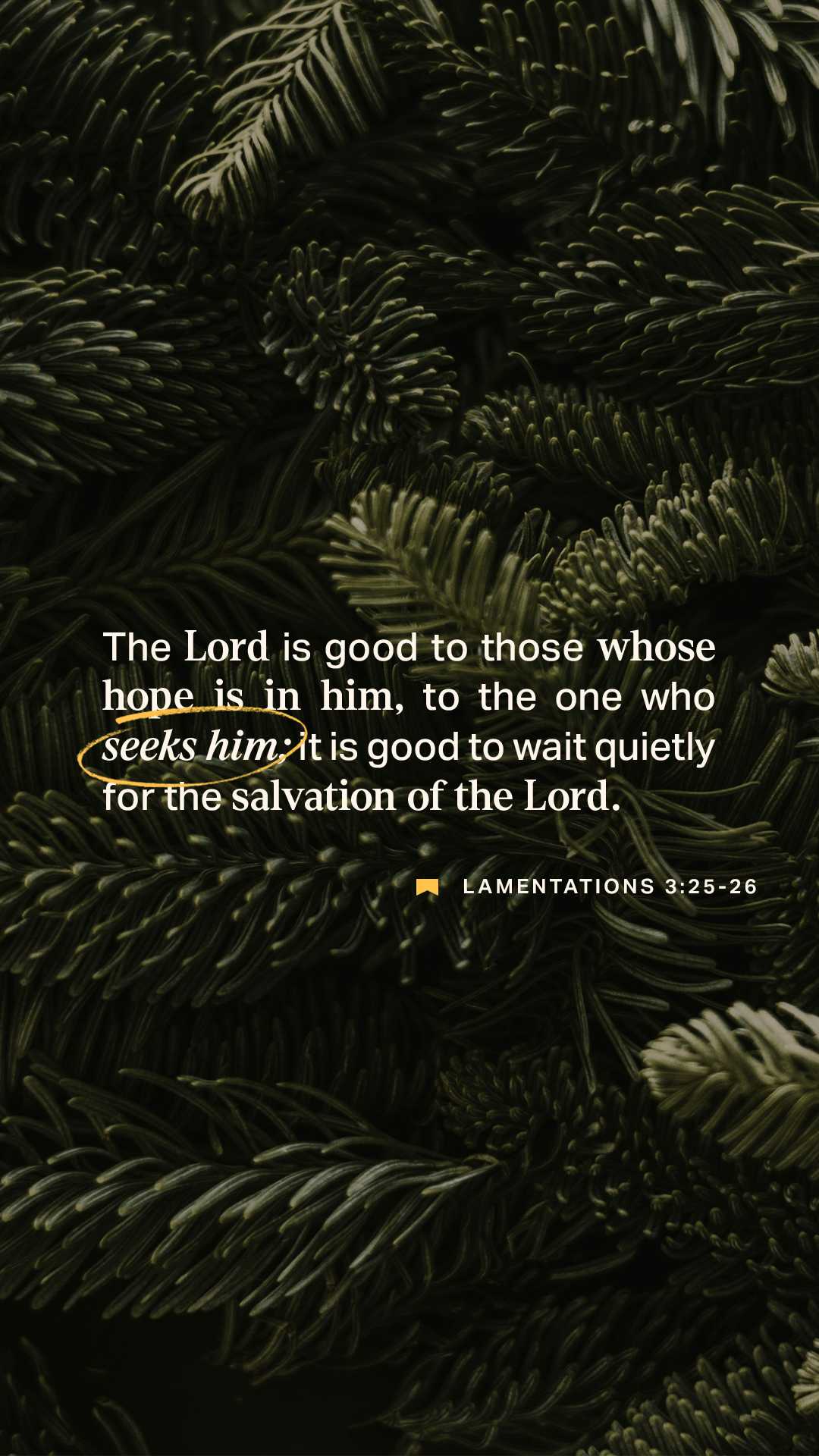 January 24 - Vertical