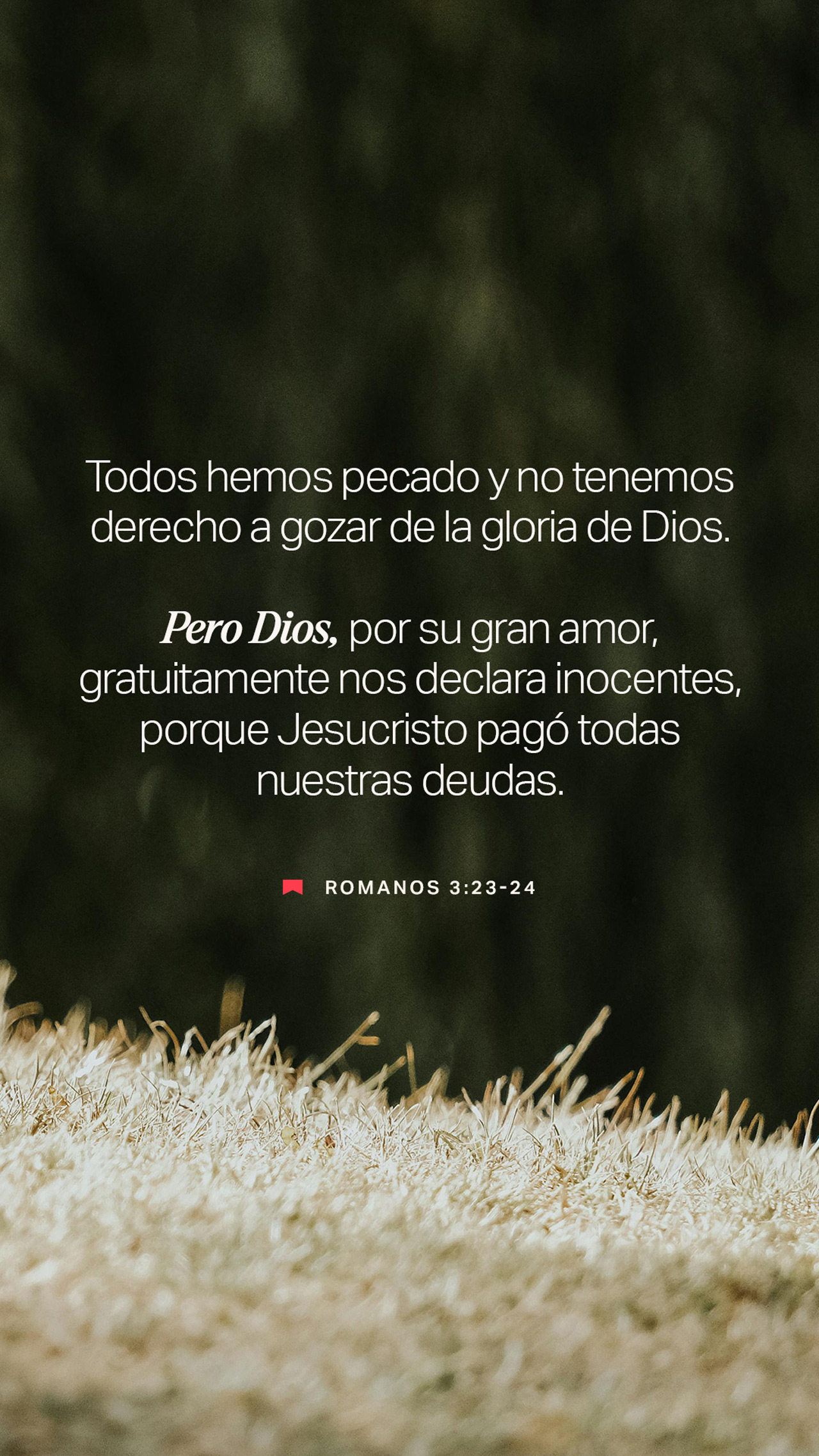 25 de abril - Vertical