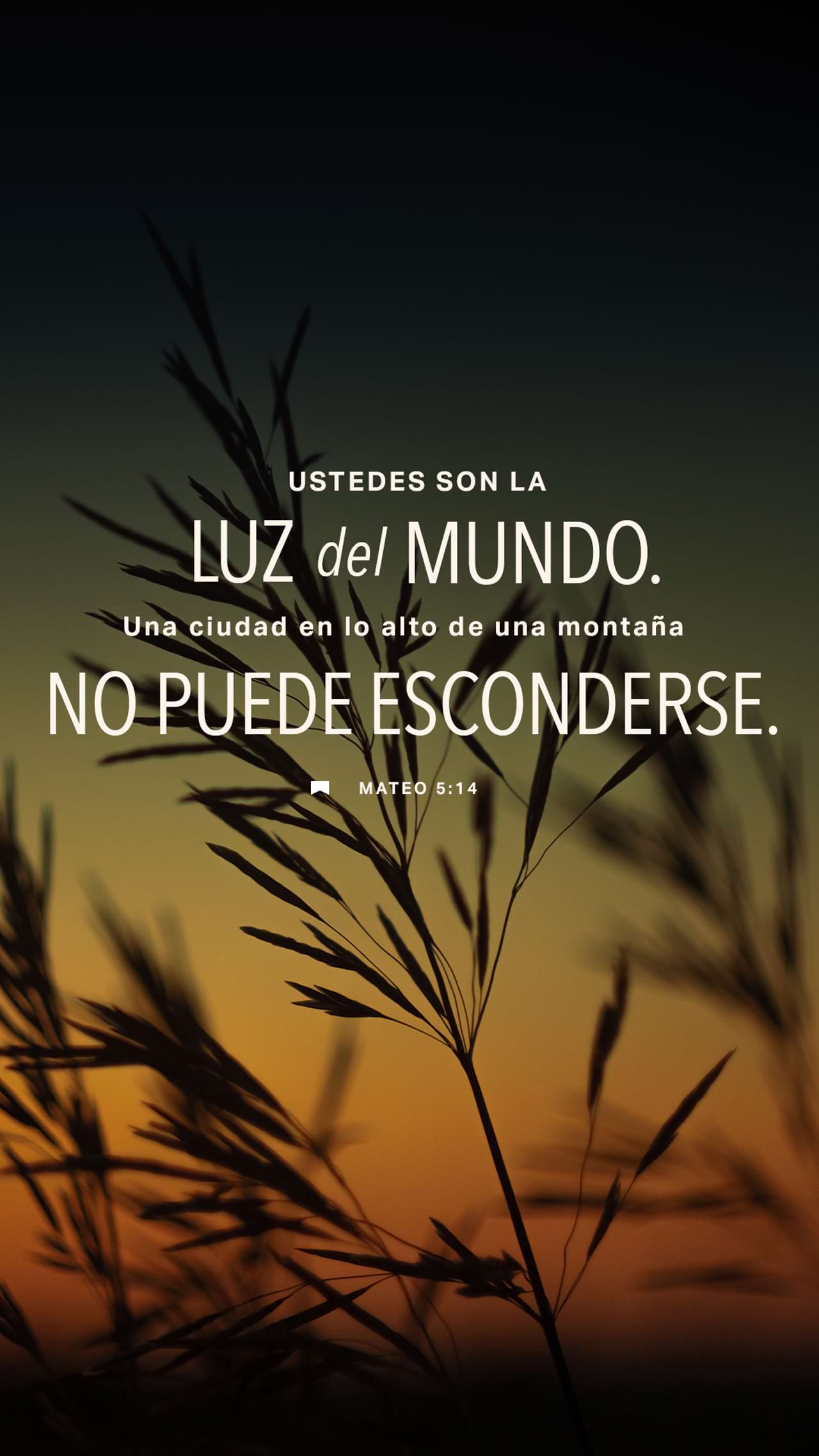 27 de abril - Vertical